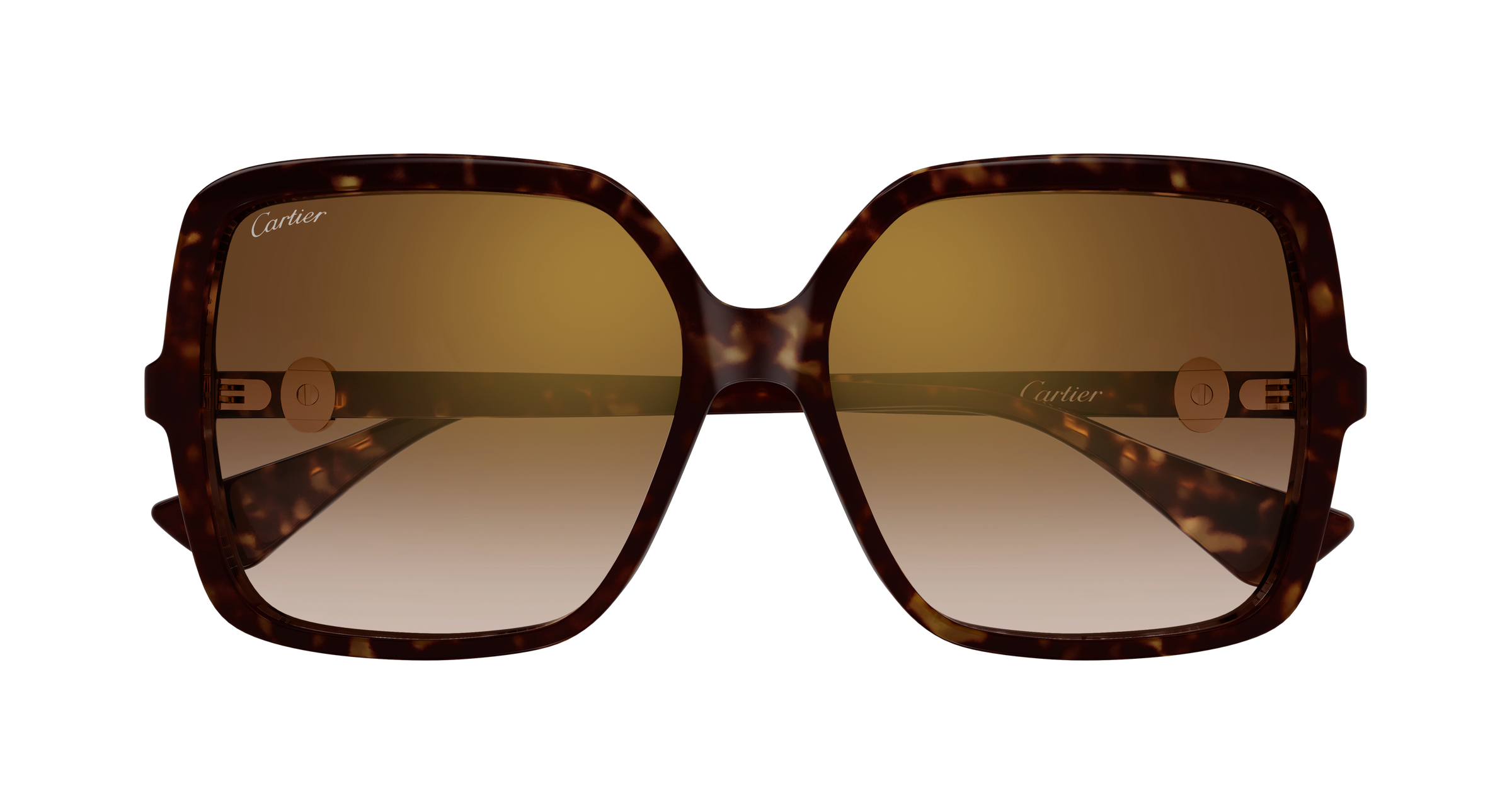 Color_CT0641S-002 - HAVANA - HAVANA - BROWN