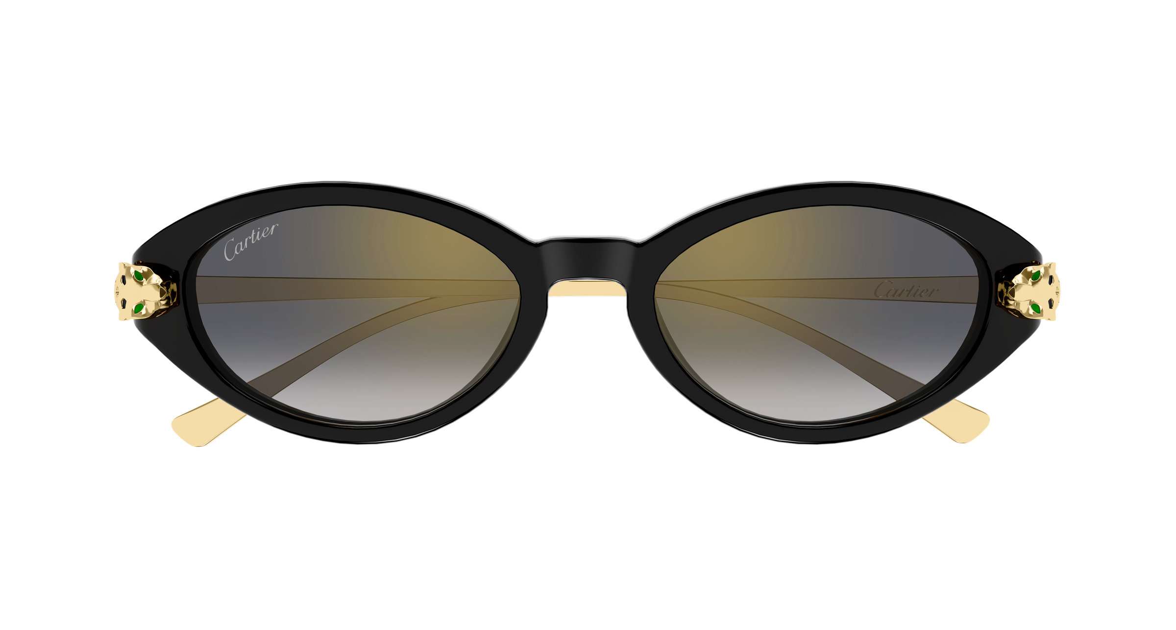 Color_CT0634S-001 - BLACK - GOLD - GREY