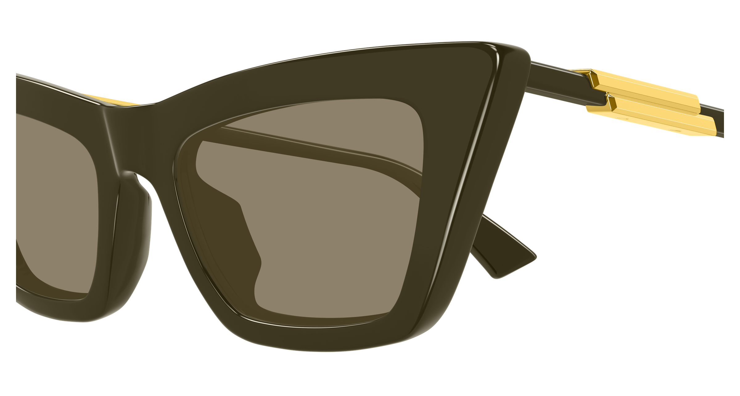 Color_BV1446S-005 - GREEN - GREEN - BROWN