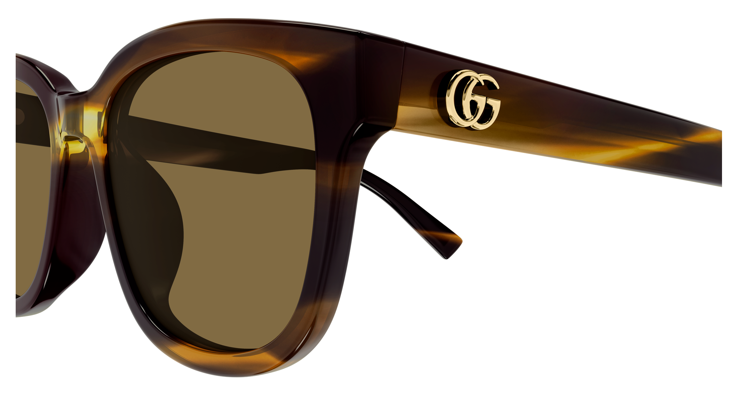 Color_GG2126SK-003 - HAVANA- HAVANA - BROWN