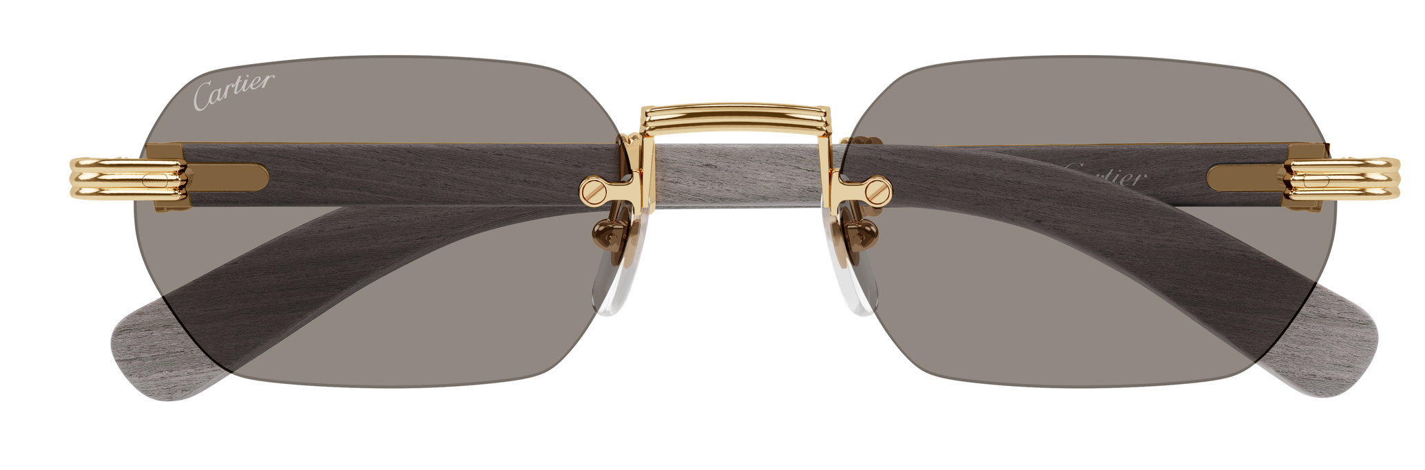 Color_CT0362S-005 - GOLD - GREY HORN/ GREY