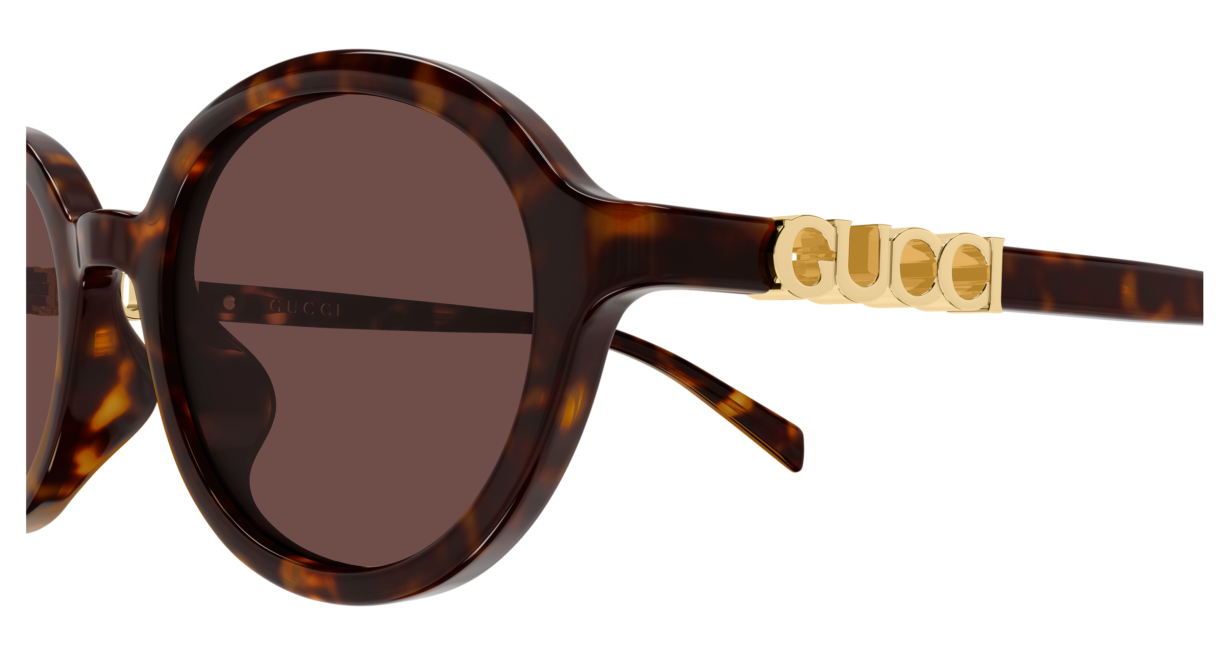 Color_GG2033SA-002 - Havana - Havana - Brown