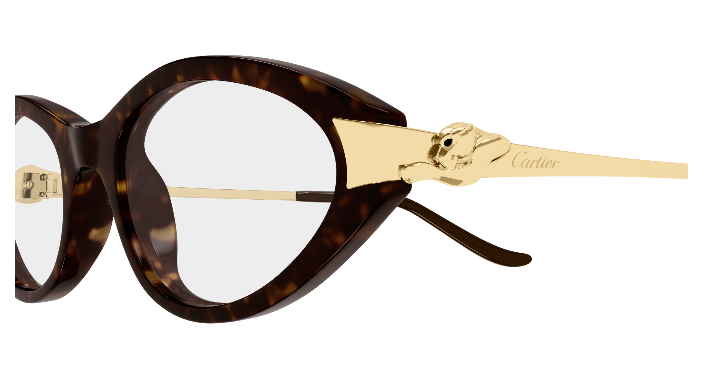Color_CT0633O-002 - HAVANA - GOLD - TRANSPARENT