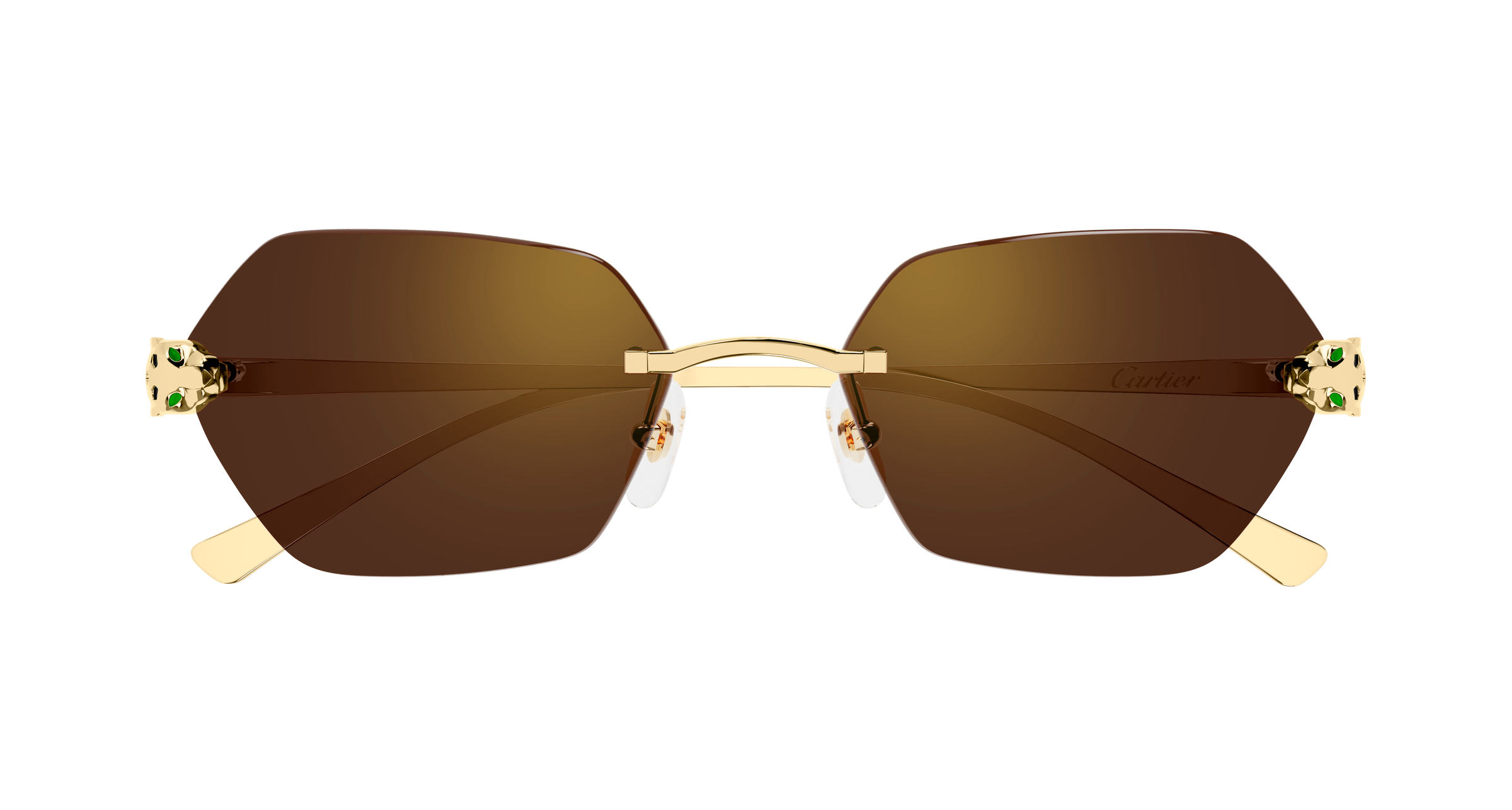Color_CT0636S-002 - GOLD - GOLD - BROWN