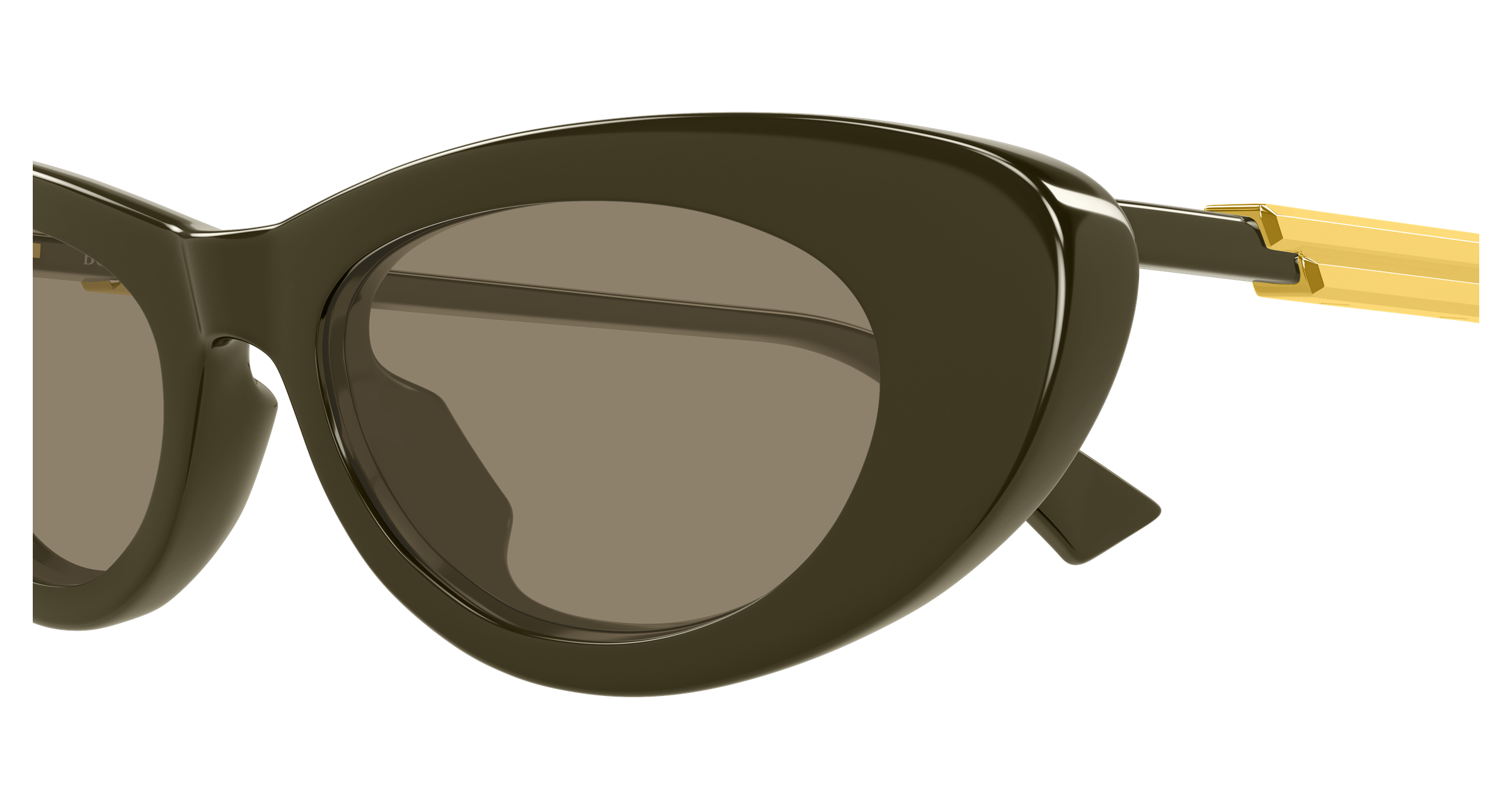 Color_BV1447S-004 - GREEN - GREEN - BROWN