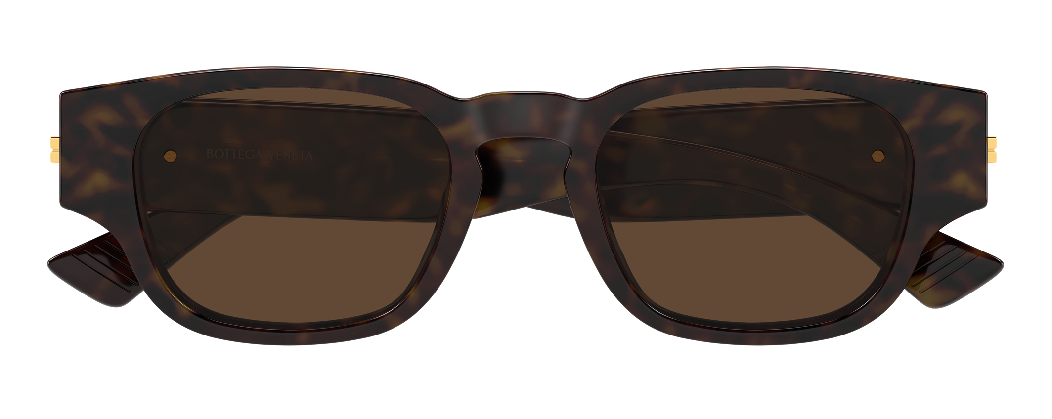 Color_BV1460S-002 - HAVANA - HAVANA - BROWN