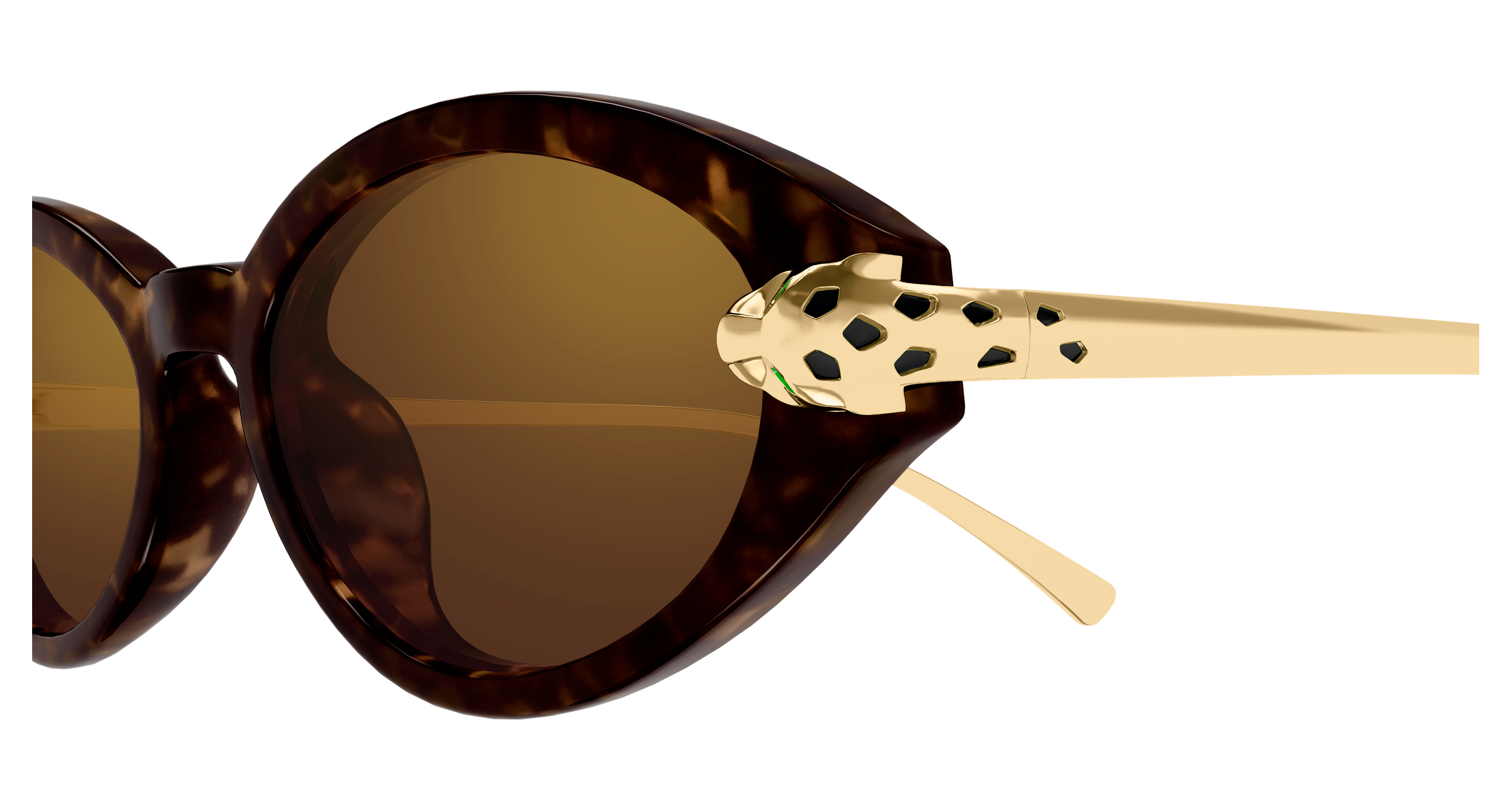 Color_CT0634S-002 - HAVANA - GOLD - BROWN