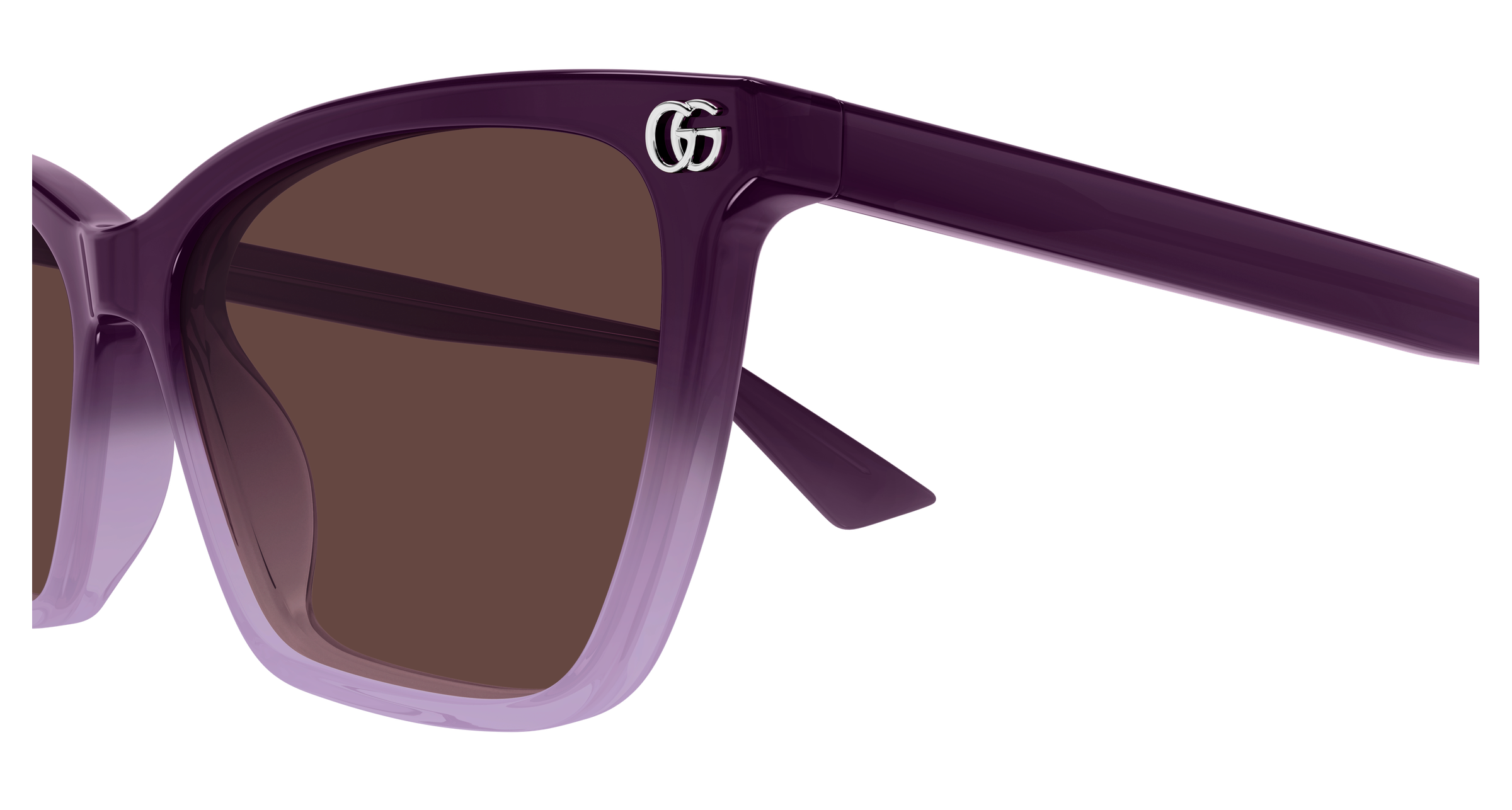 Color_GG2111S-003 - Violet - Violet - Brown