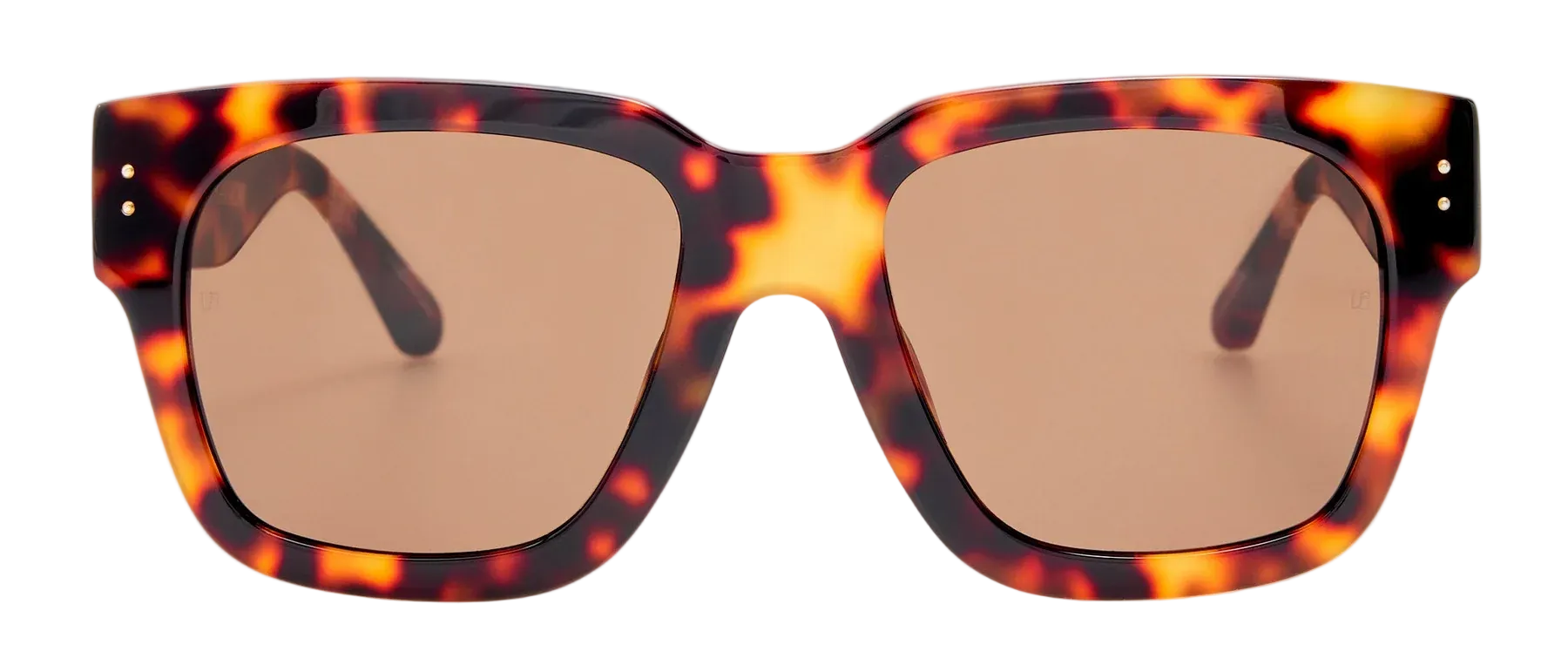 Color_LFLC1001C2SUN - Amber D-Frame Sunglasses in Tortoiseshell