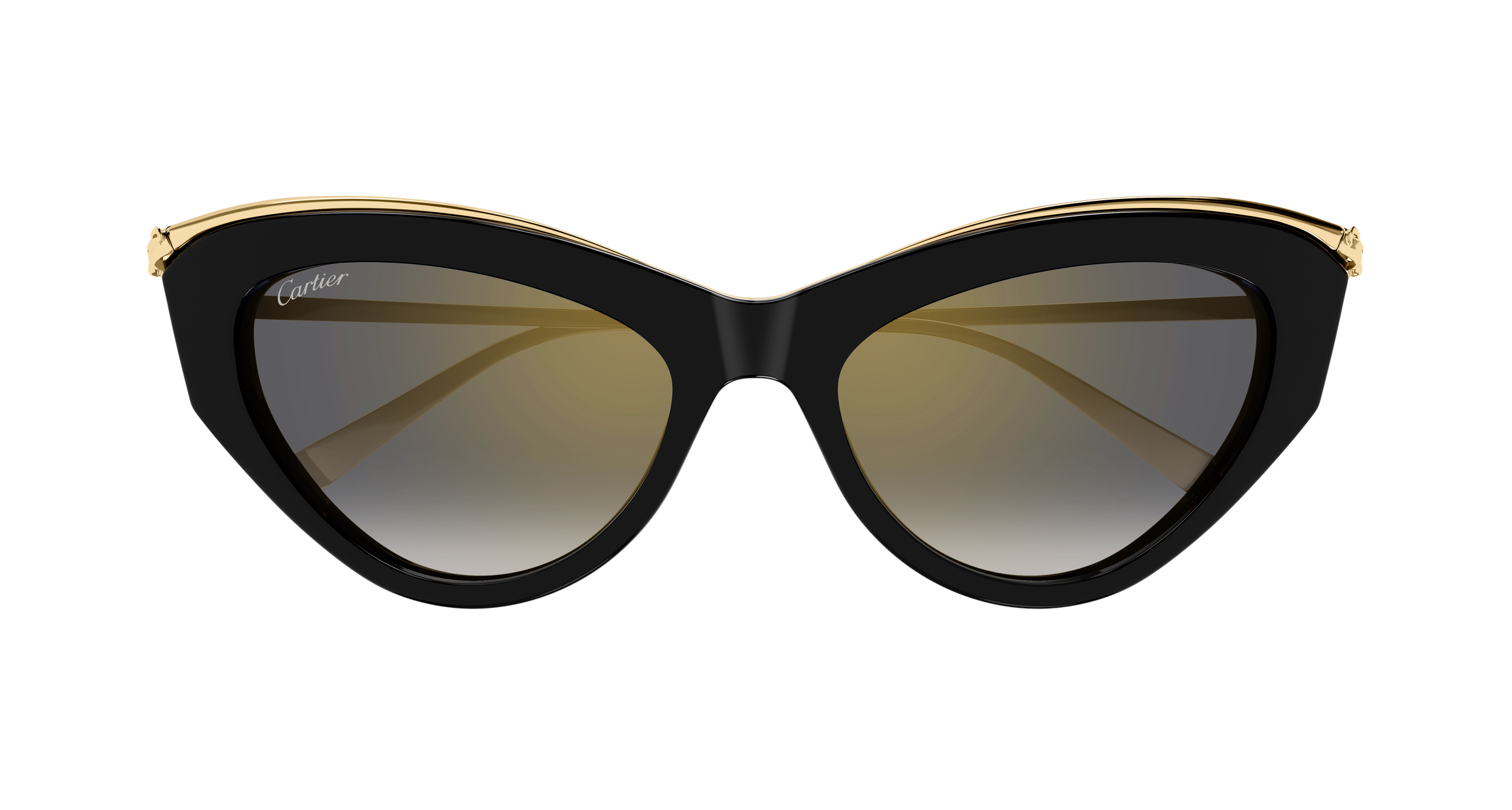 Color_CT0596S-001 - BLACK - GREY