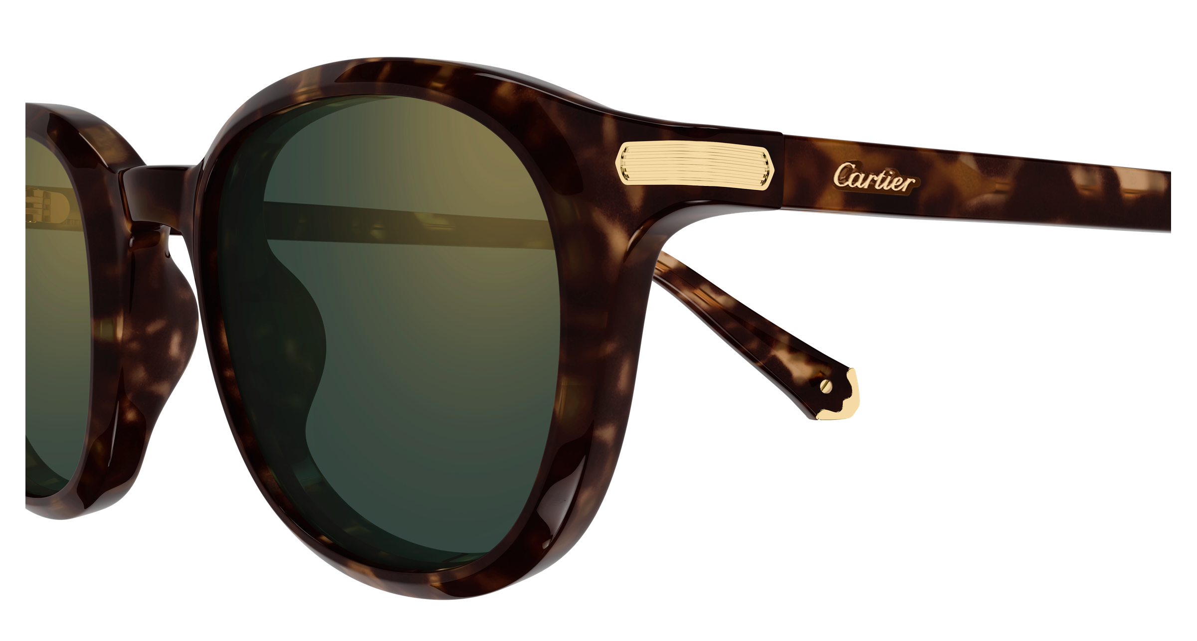 Color_CT0584S-002 - HAVANA - GREEN