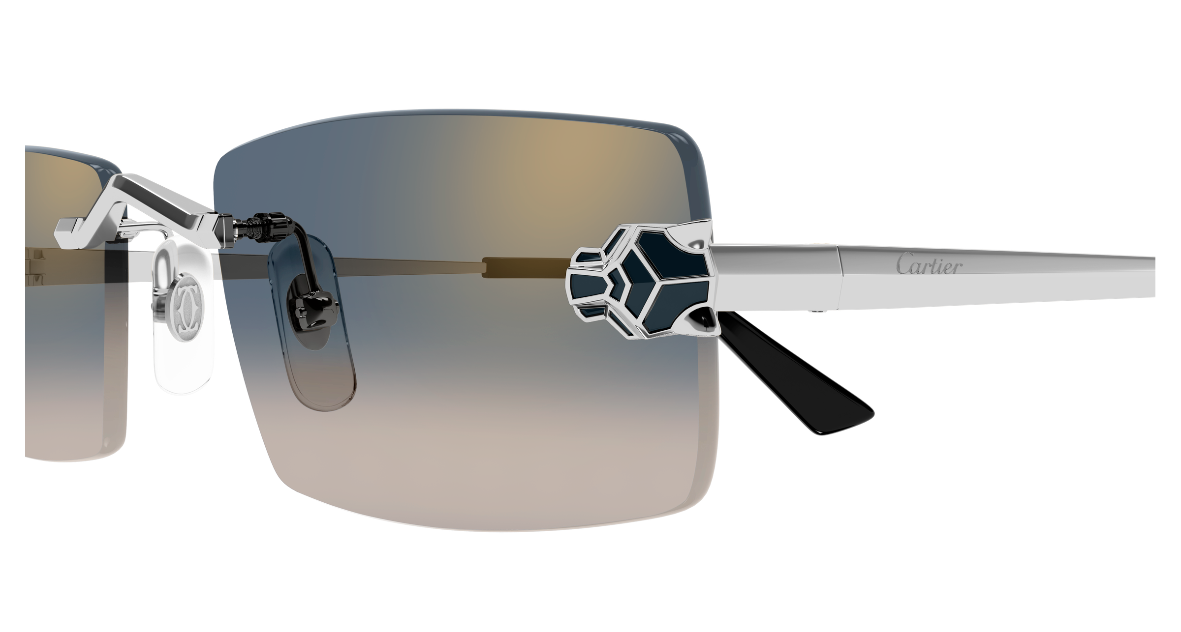 Color_CT0598S-002 - SILVER - GREY