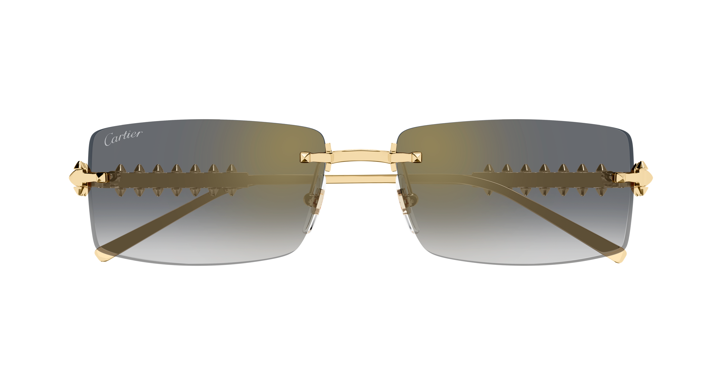 Color_CT0604S-001 - GOLD - GREY