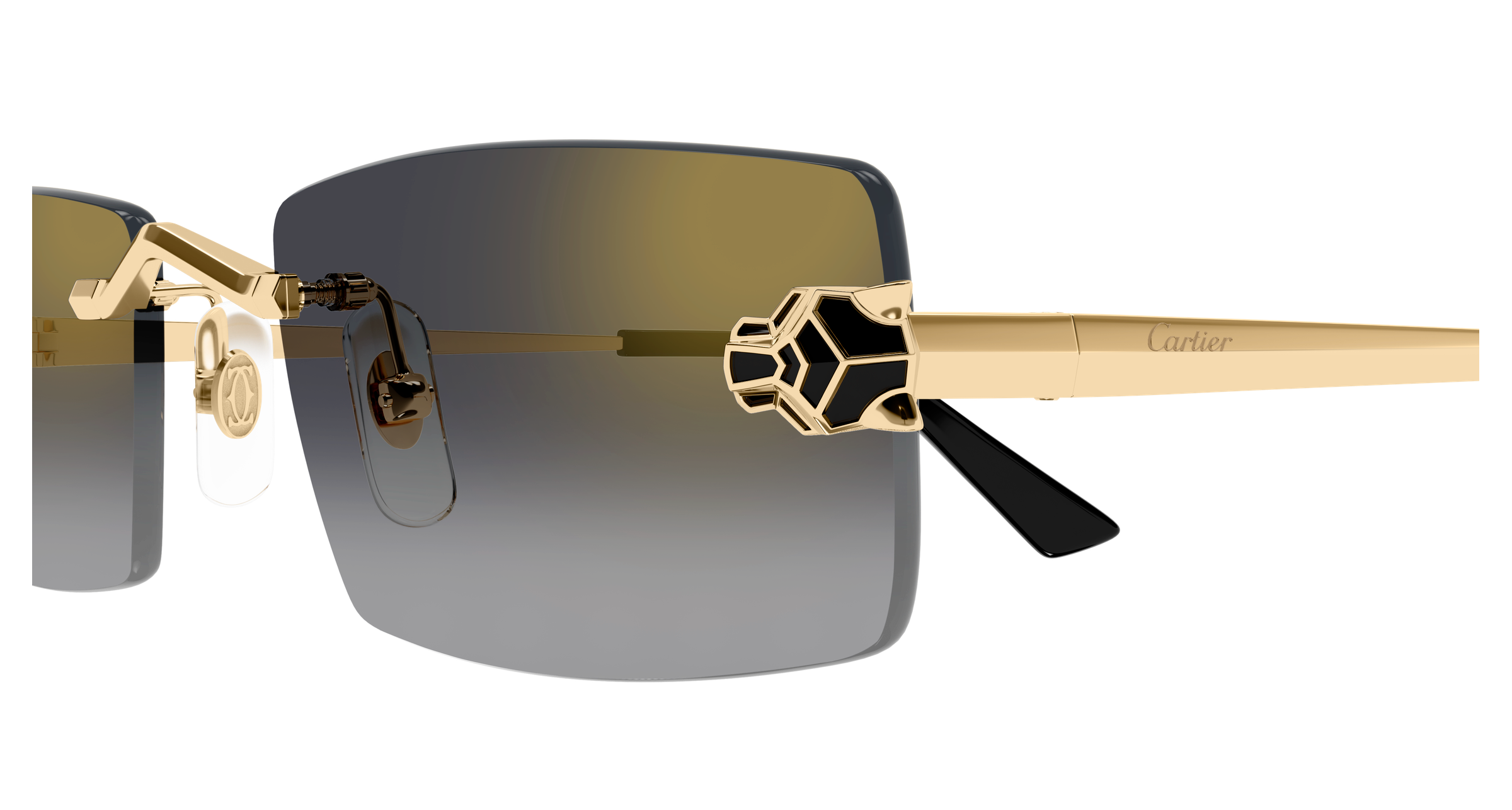 Color_CT0598S-001 - GOLD - GREY