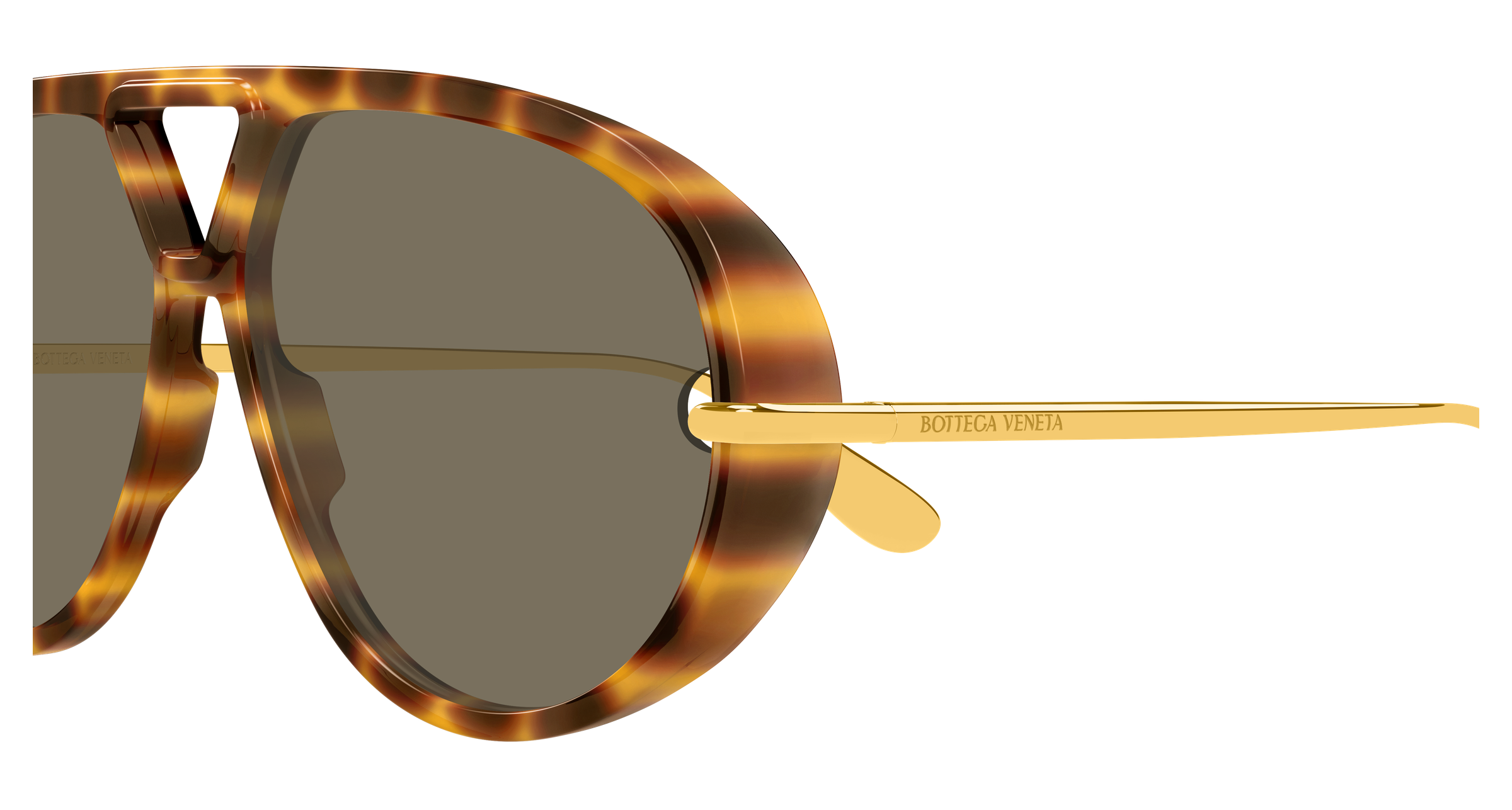 Color_BV1274S-005 - HAVANA - GOLD - BROWN