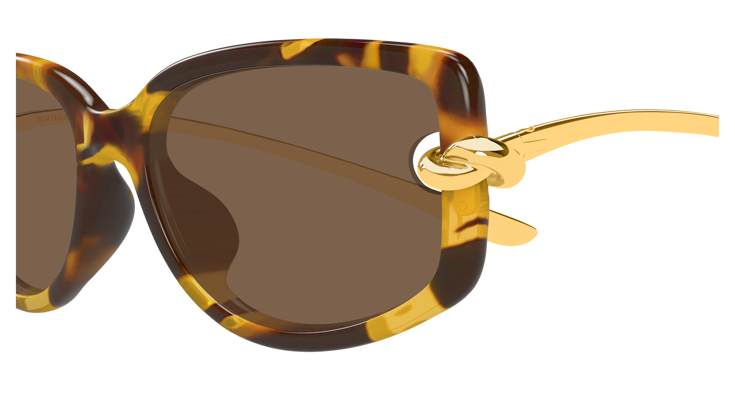 Color_BV1440SA-002 - HAVANA - GOLD - BROWN