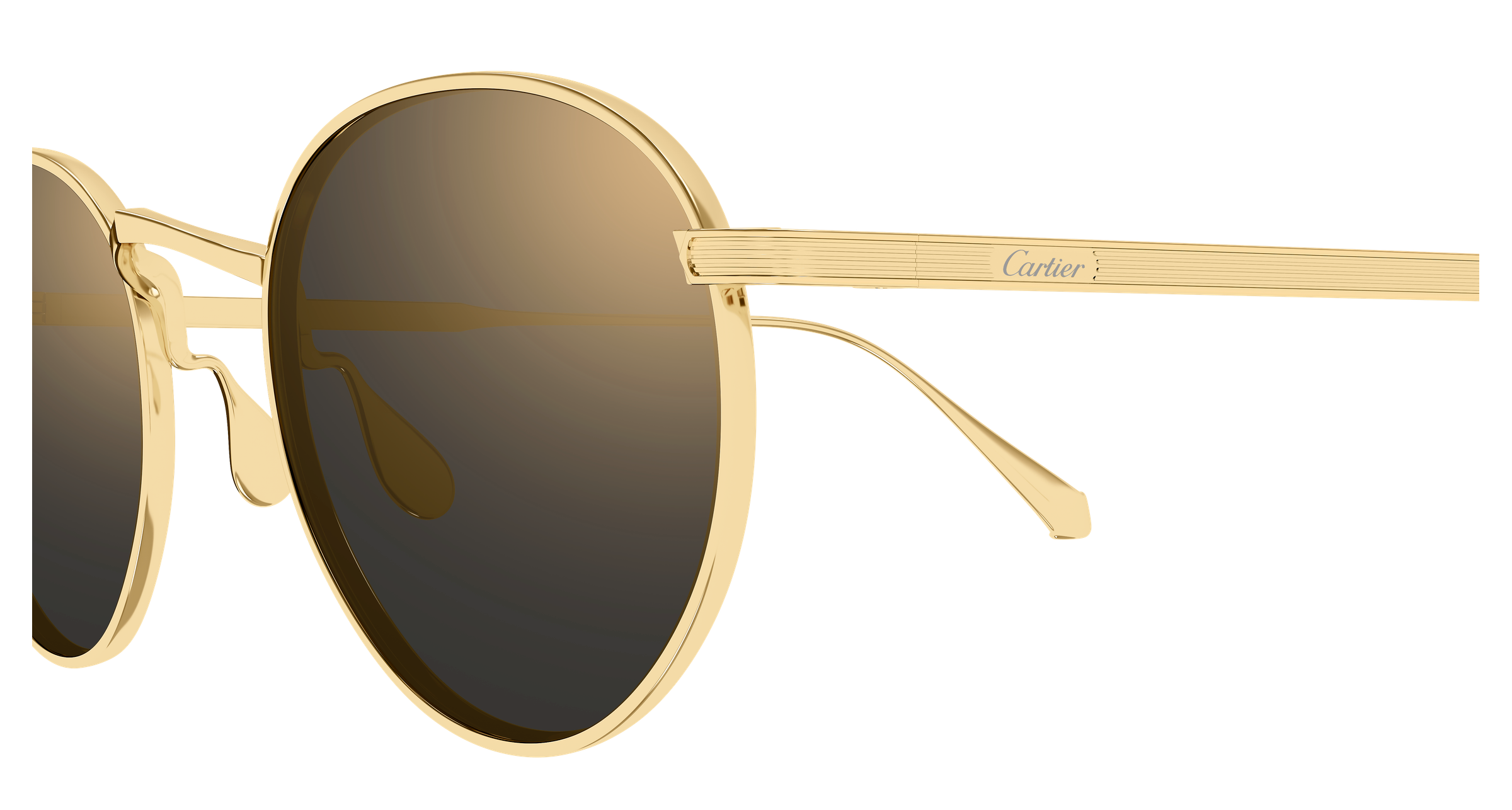 Color_CT0626S-006 - GOLD - GOLD - GREY / (M 51mm - 21mm - 145mm)
