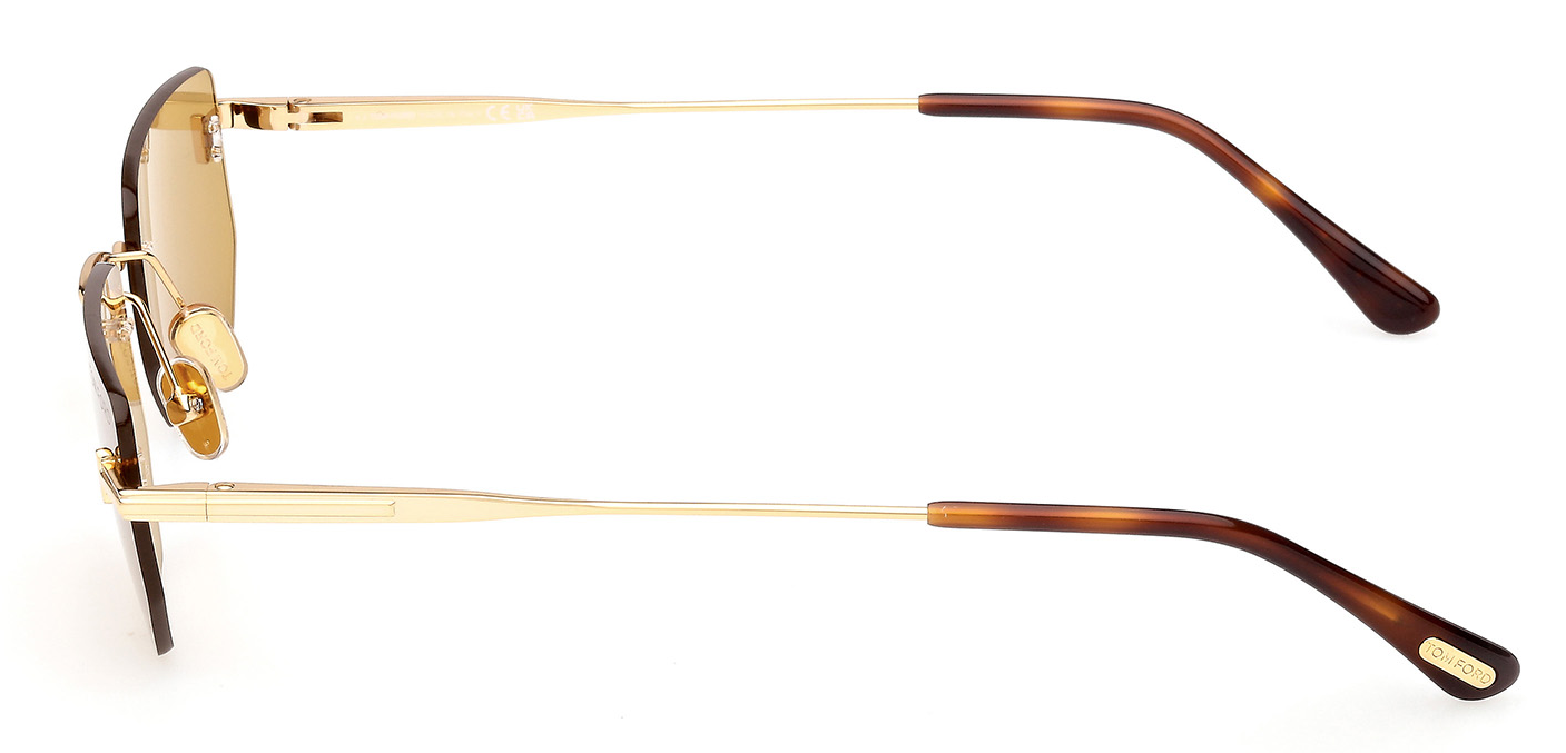 Color_30E - Shiny Deep Gold - Shiny Deep Gold / Brown