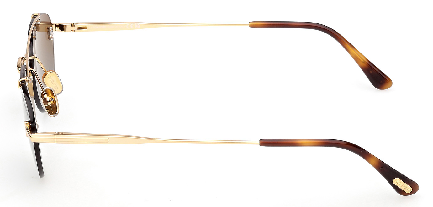 Color_30F - Shiny Deep Gold - Shiny Deep Gold / Brown Gradient