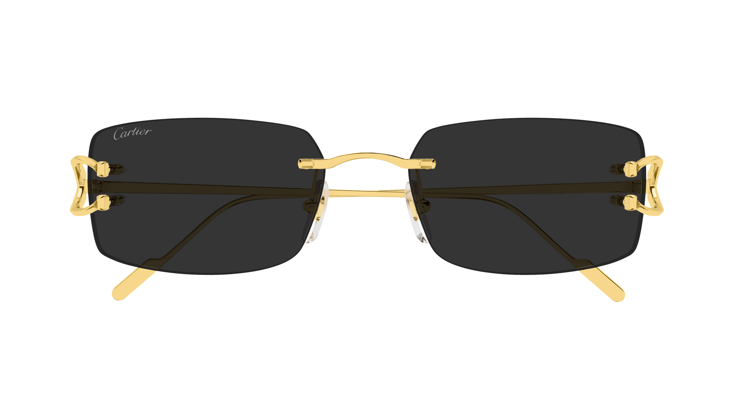 Color_CT0605S-001 - GOLD - GREY