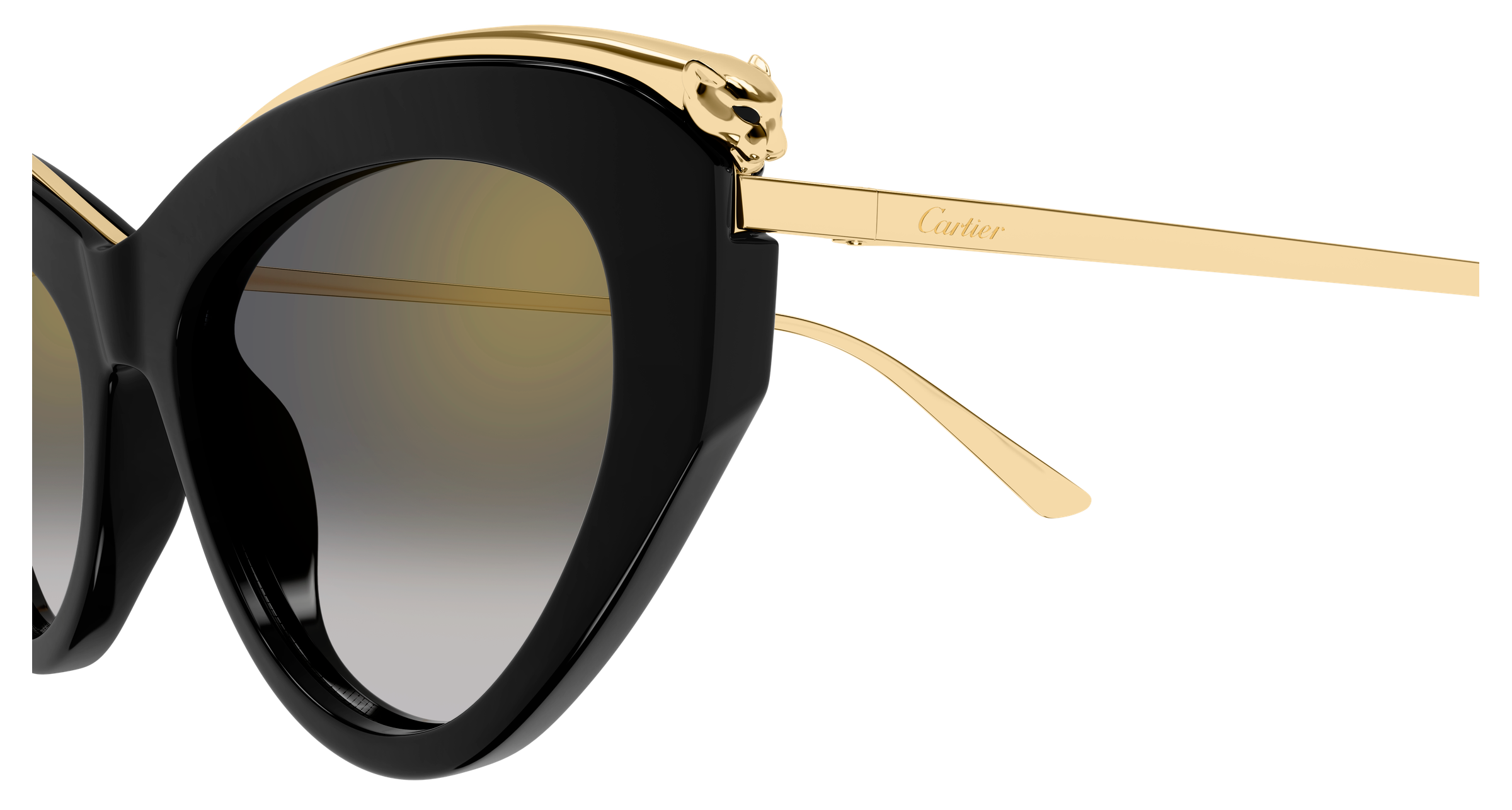 Color_CT0596S-001 - BLACK - GREY