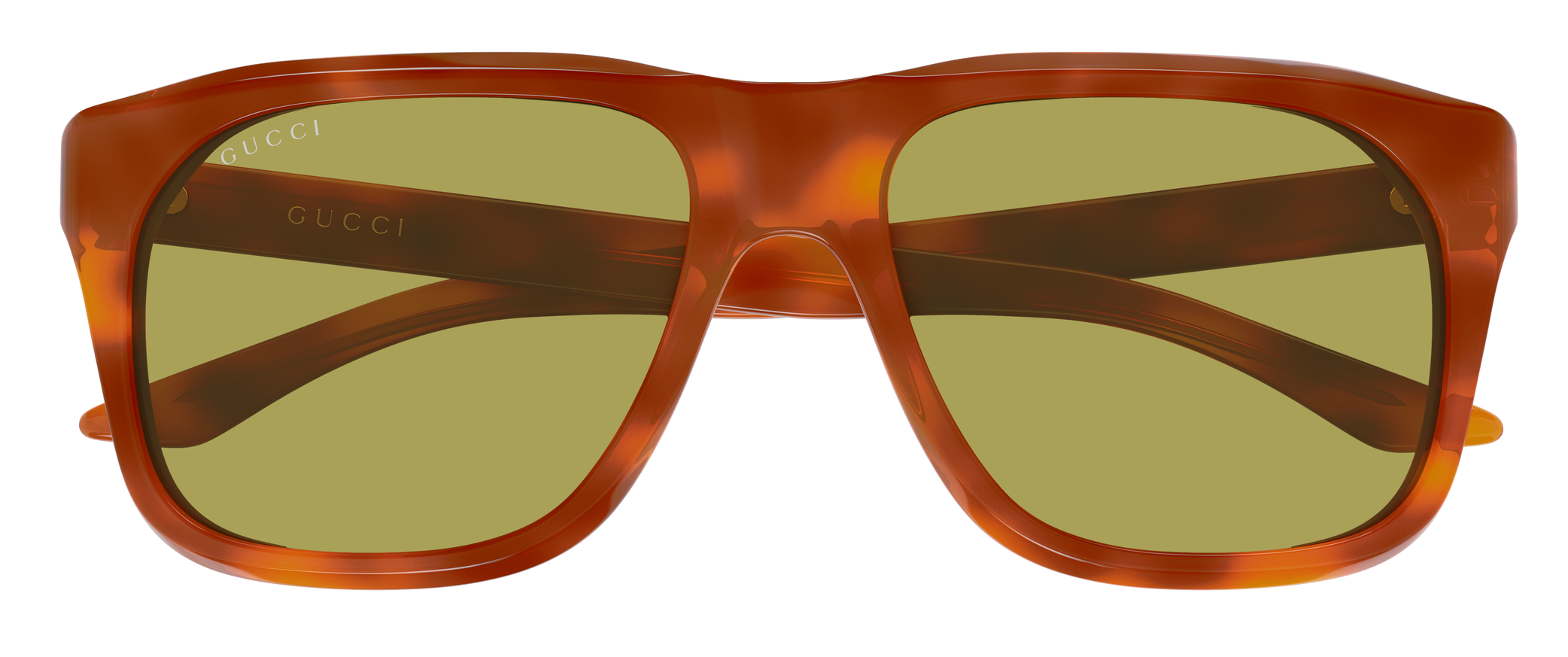 Color_GG2077S-005 - Havana - Havana - Green