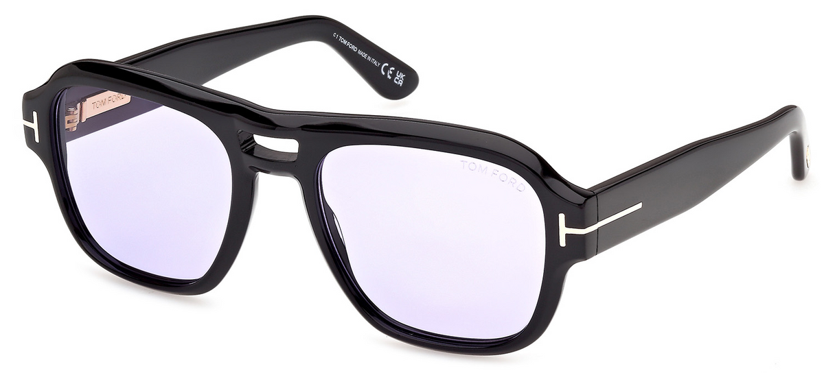 Color_01Y - Shiny Black / Violet Cat. 1