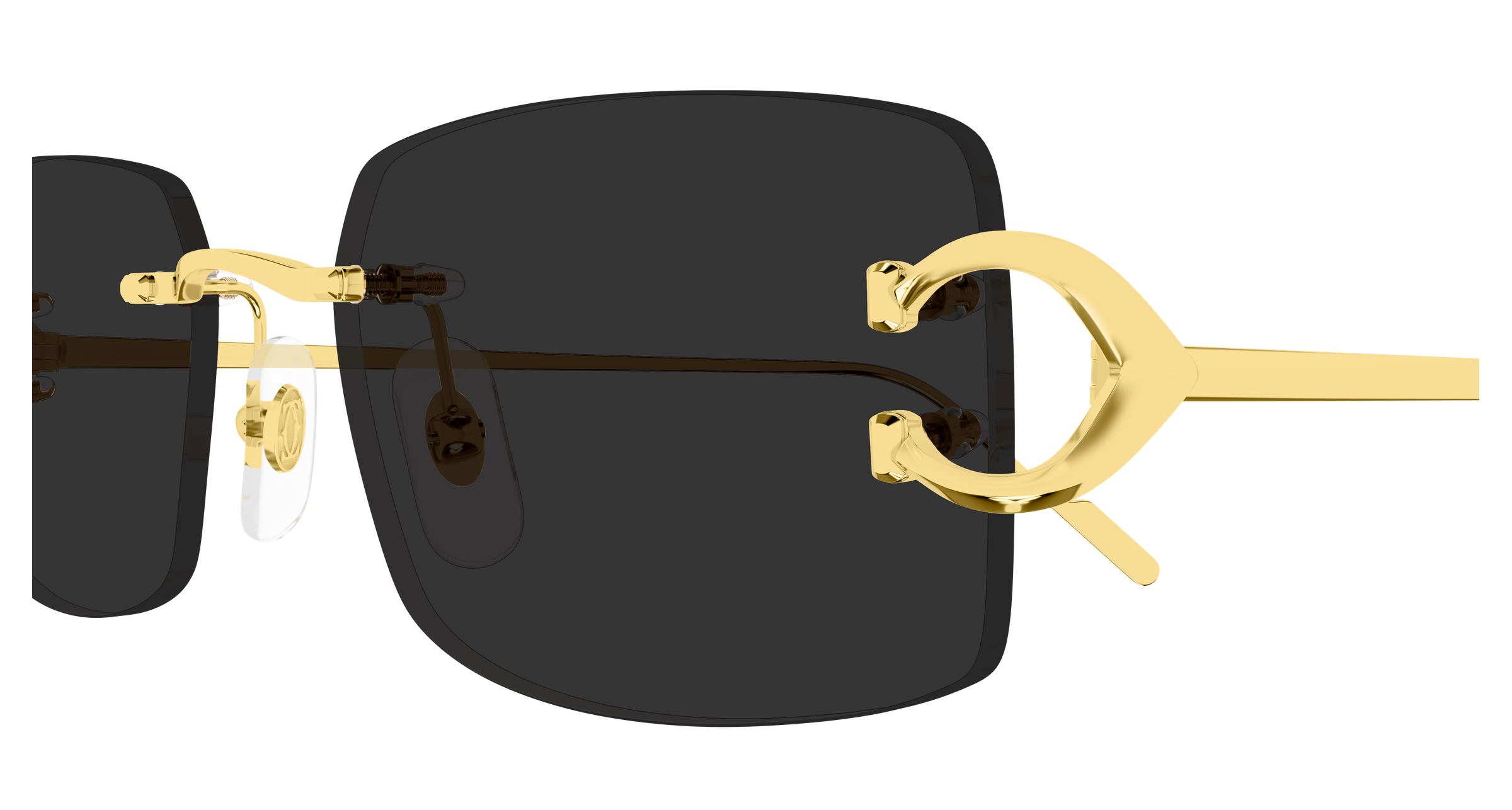 Color_CT0605S-001 - GOLD - GREY