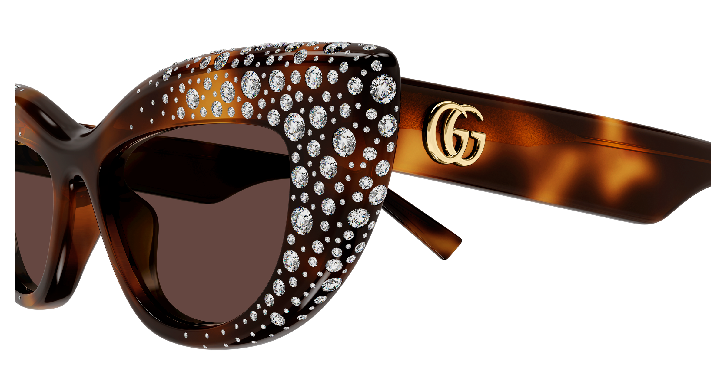 Color_GG2031S-006 - Havana - Havana - Brown