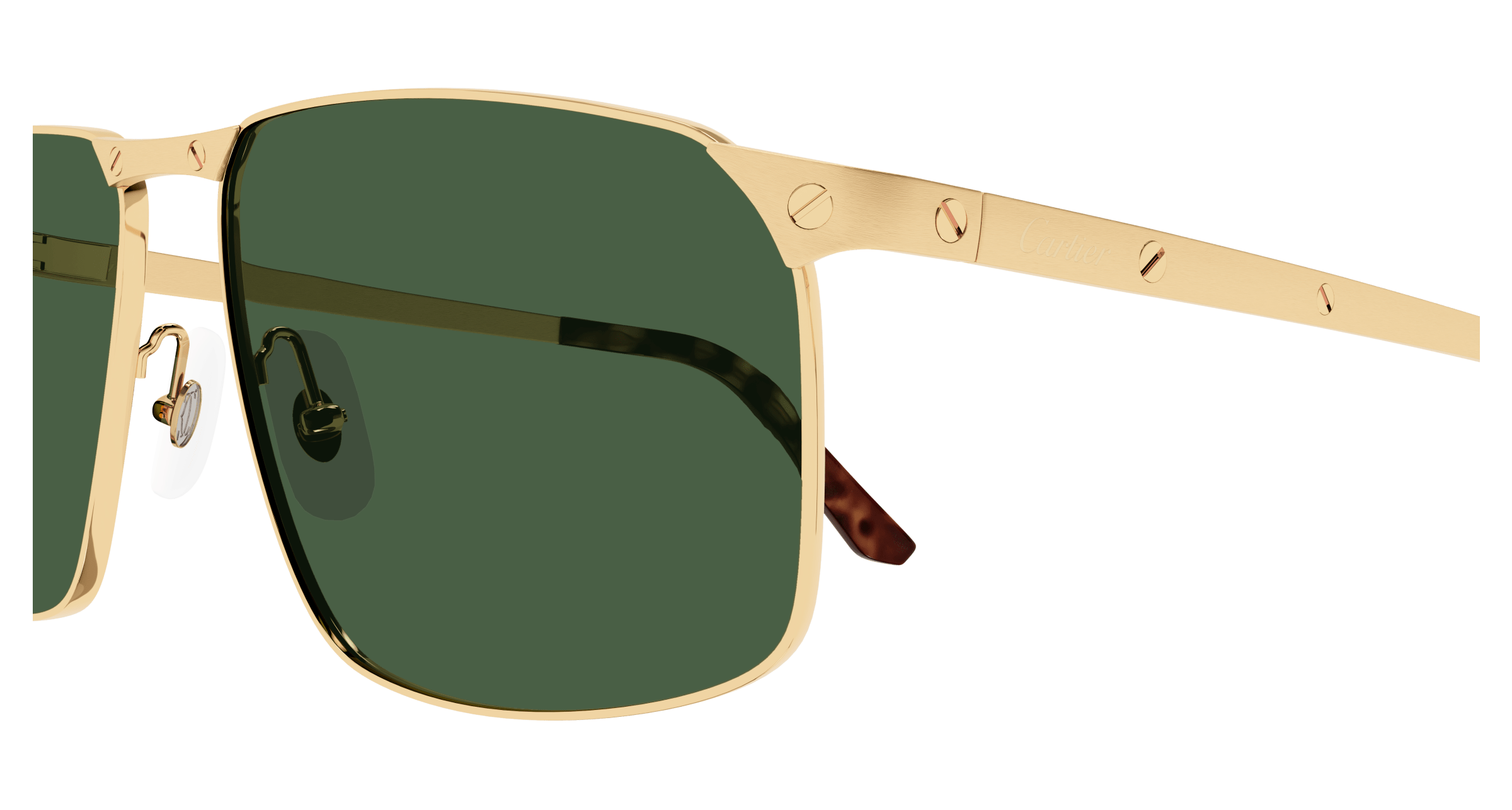 Color_CT0322S-002 - GOLD - GREEN (POLARIZED)