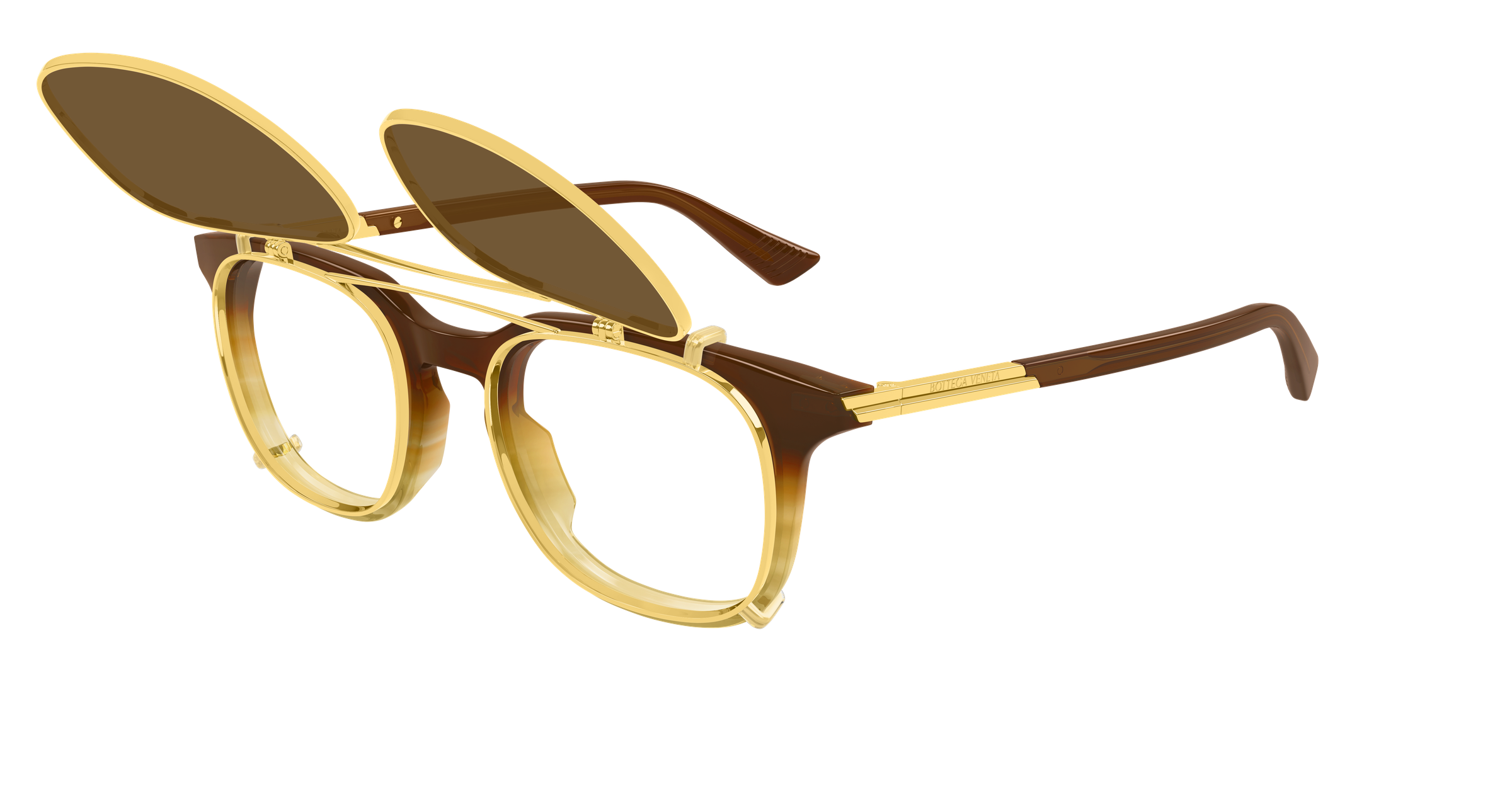 Color_BV1429S-002 - BROWN - TRANSPARENT