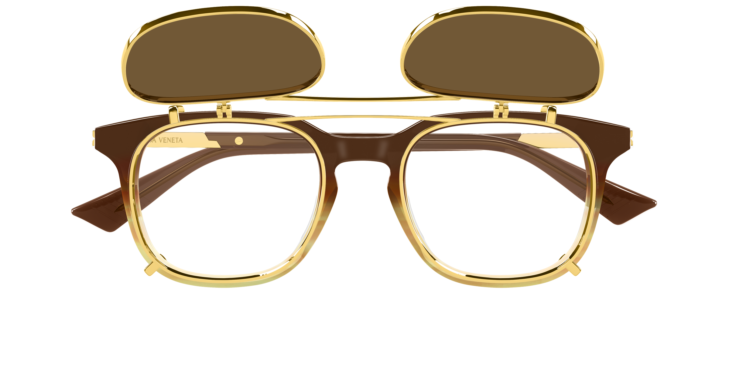 Color_BV1429S-002 - BROWN - TRANSPARENT