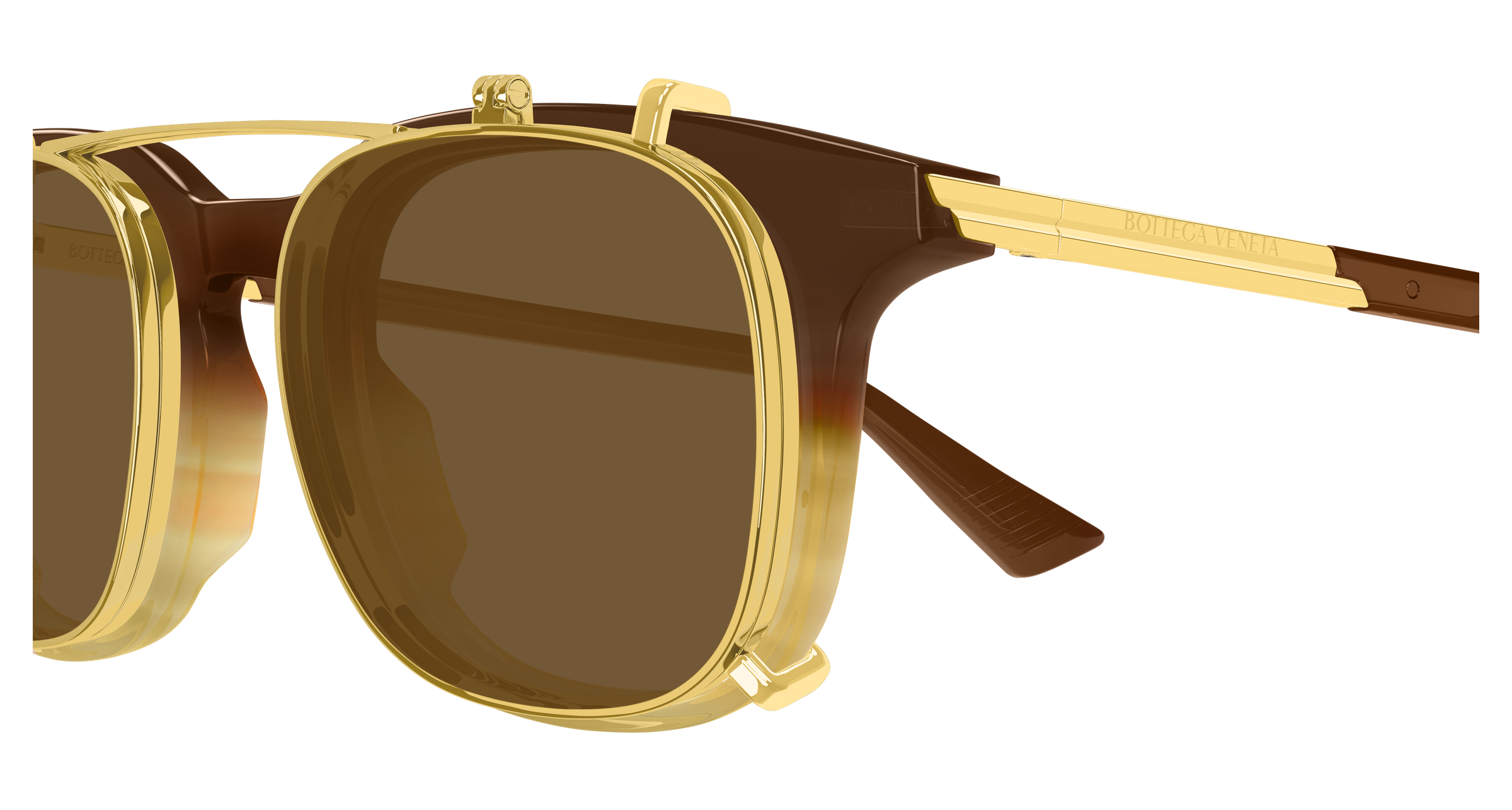 Color_BV1429S-002 - BROWN - TRANSPARENT