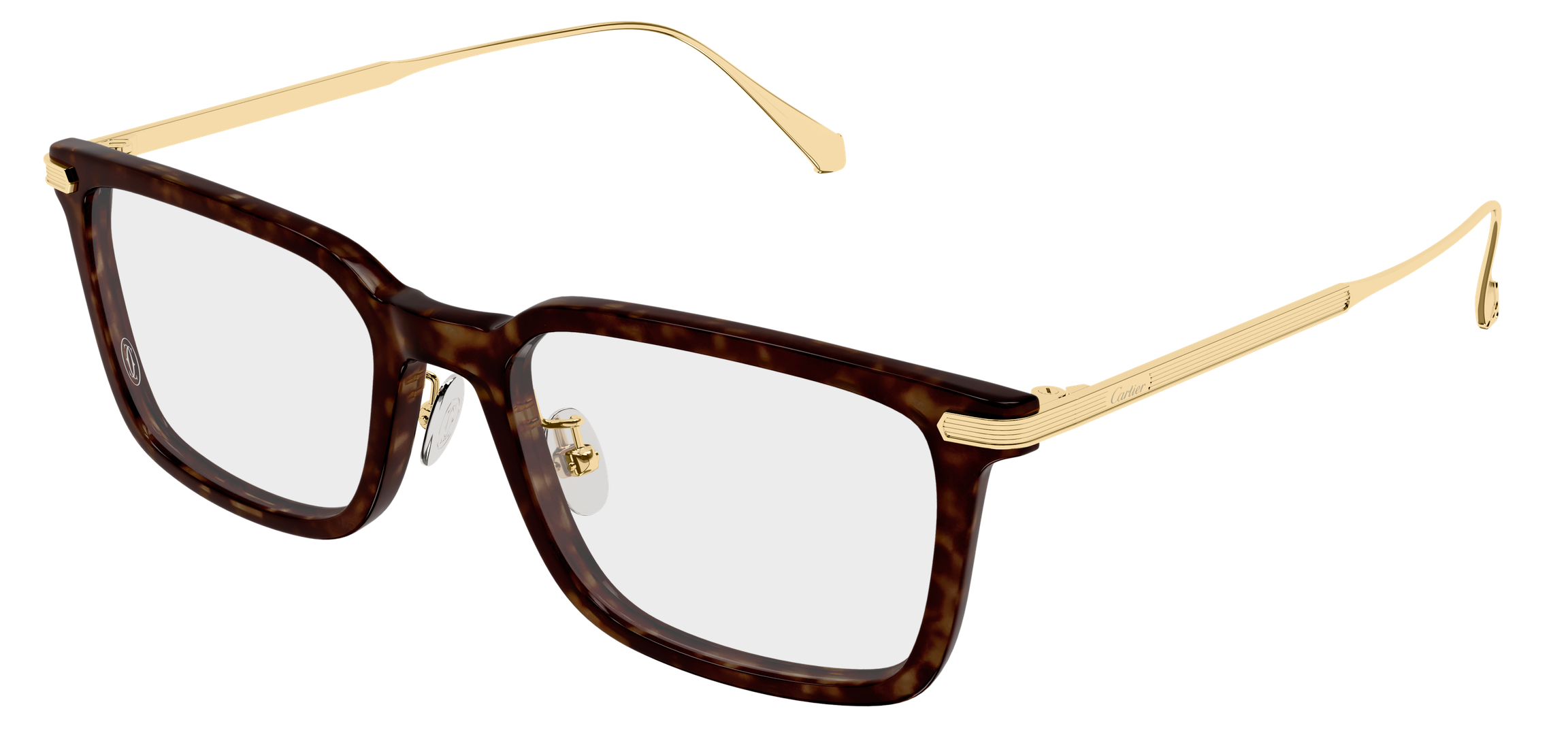Color_CT0629OA-003 - HAVANA - GOLD - TRANSPARENT