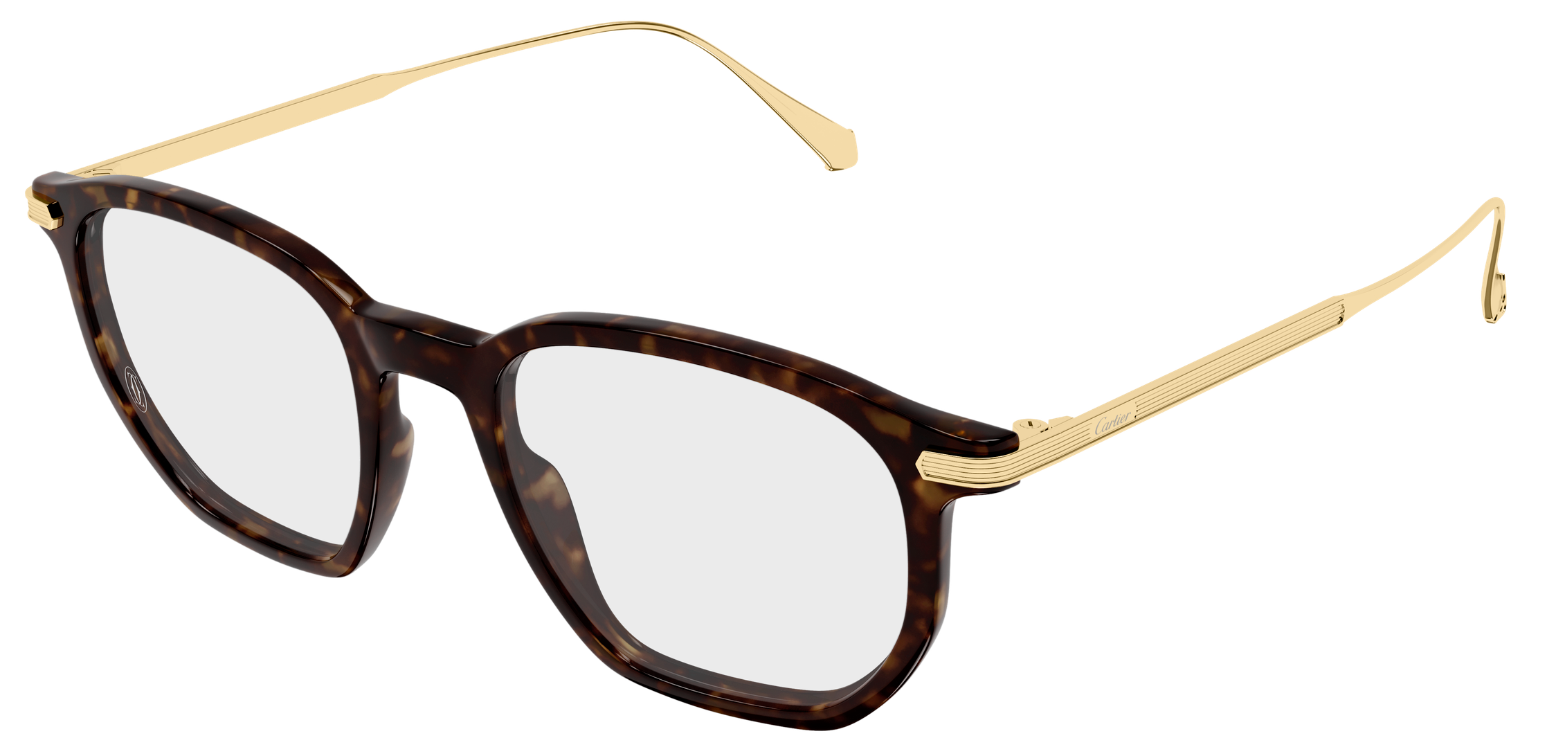 Color_CT0628O-003 - HAVANA - GOLD - TRANSPARENT