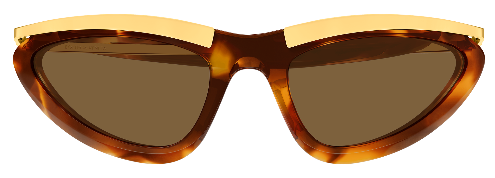 Color_BV1477S-003 - HAVANA - GOLD - BROWN