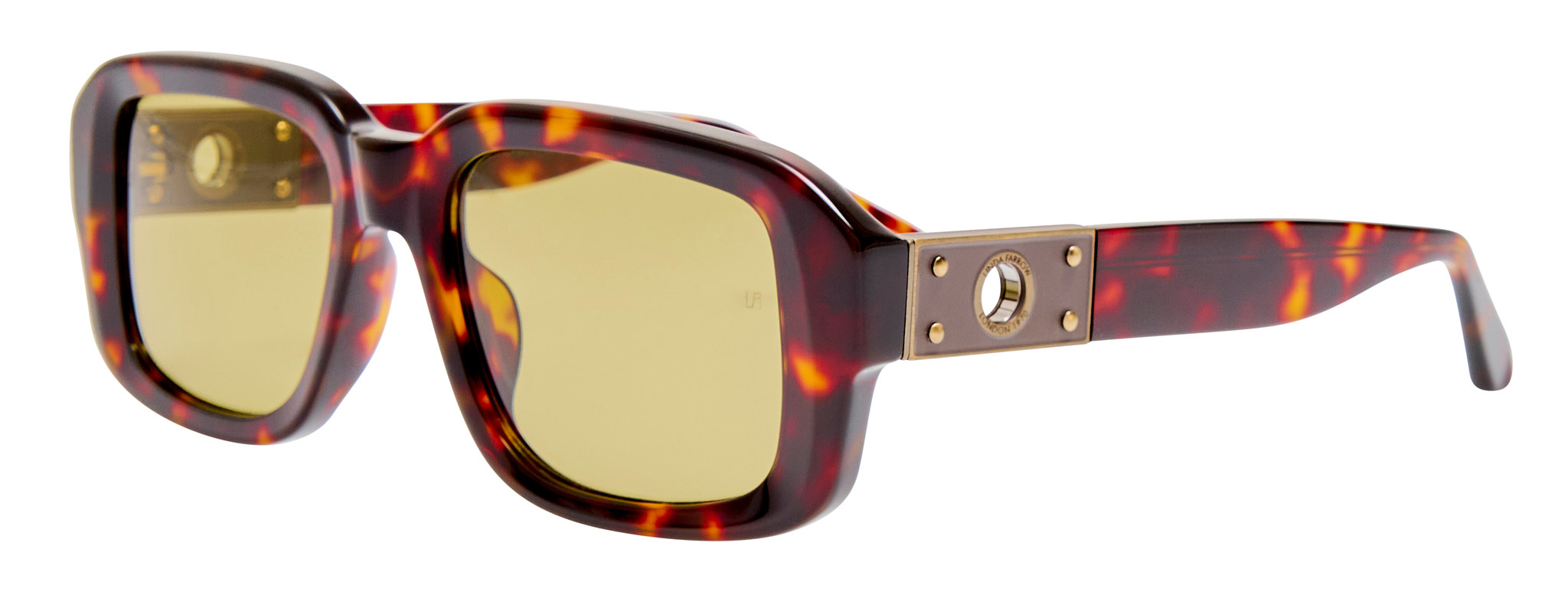 Color_LFL1661C2SUN - Delmare Oversized Sunglasses Tortoise Shell and Green Photocrome
