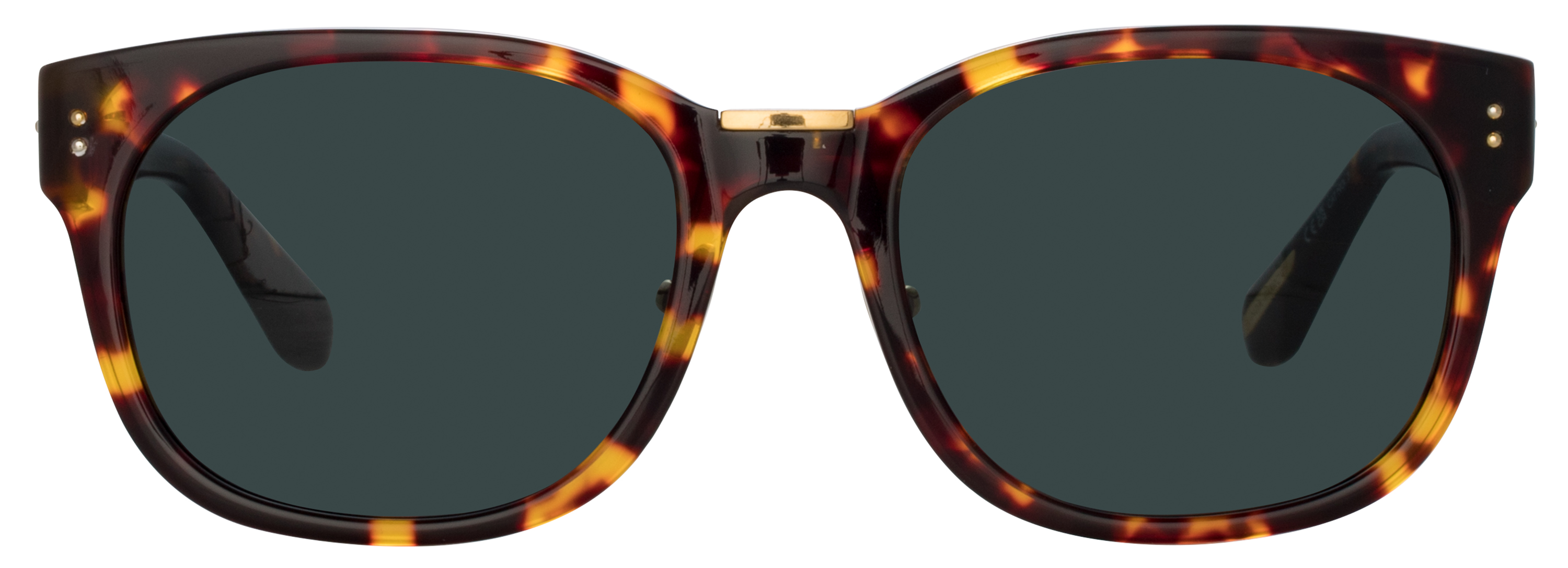 Color_LFL1275AC10SUN - Cedric D-Frame Sunglasses in Tortoise Shell and Deep Green