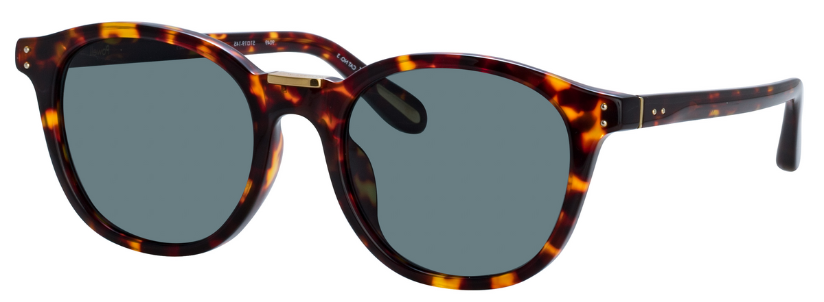 Color_LFL1480C5SUN - Powell D-Frame Sunglasses in Tortoise Shell and Deep Green