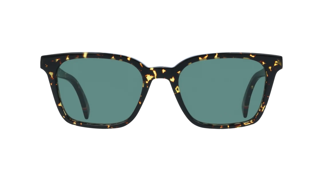 Color_230 - Dark Havana / Green