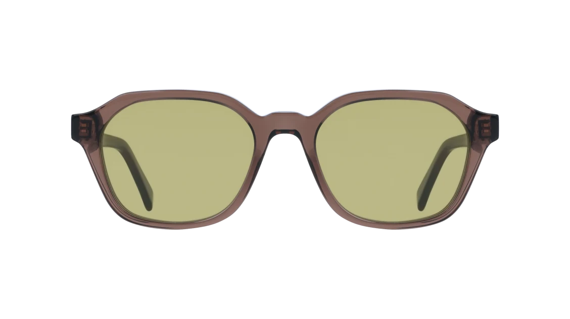 Color_200 - Transparent Brown / Brown