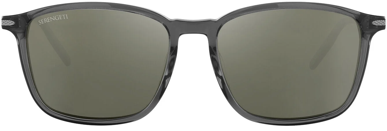 Color_SS485005 - Shiny Translucent Dar - Mineral Polarized Cat 2 to 3