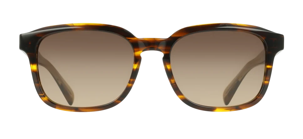 Color_210 - Transparent Striped Brown / Brown Gradient