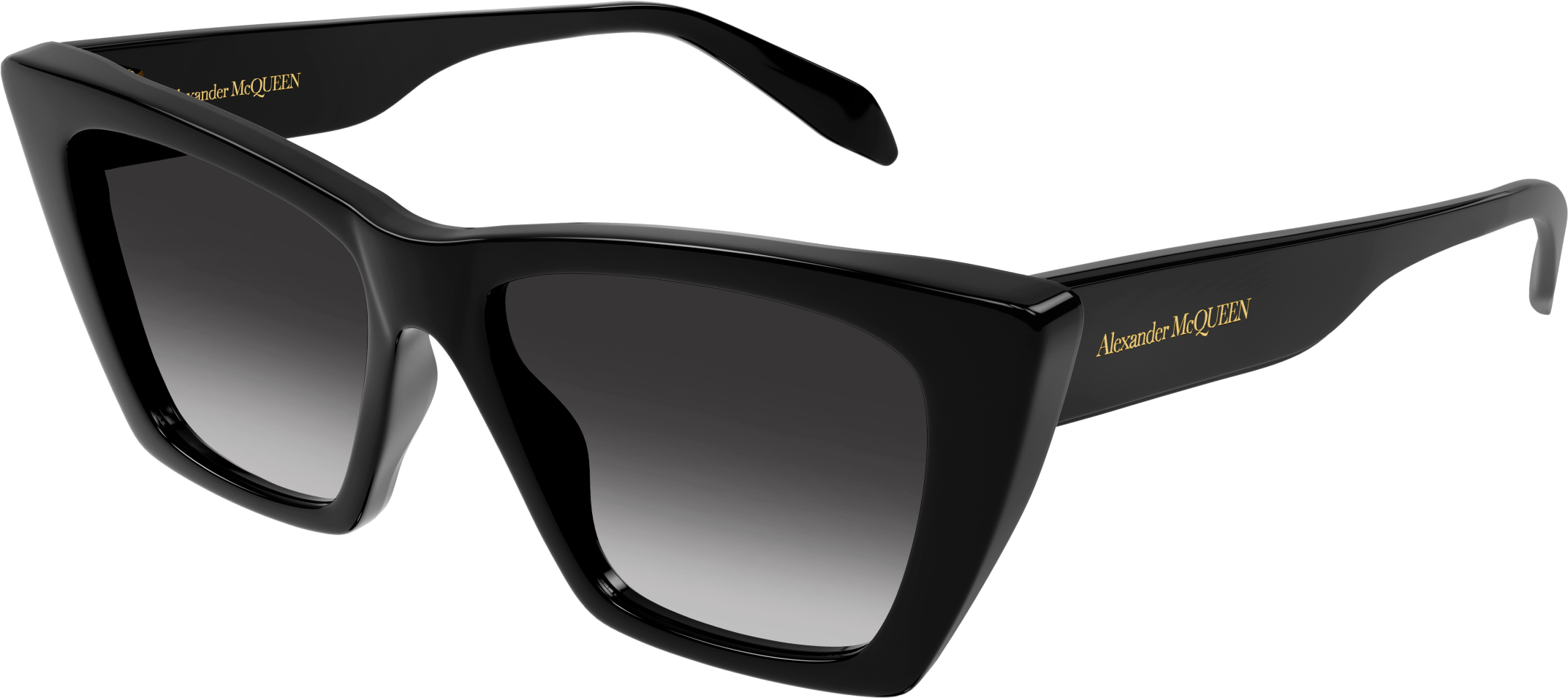 Color_AM0299S-001 - BLACK - GREY