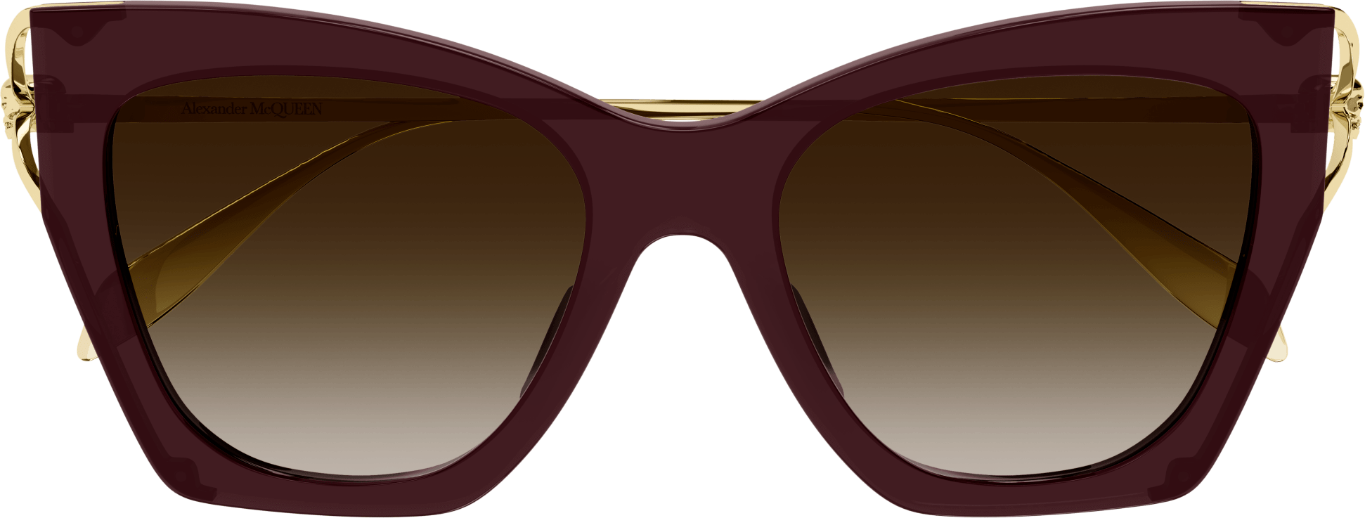 Color_AM0375S-002 - BROWN - BROWN