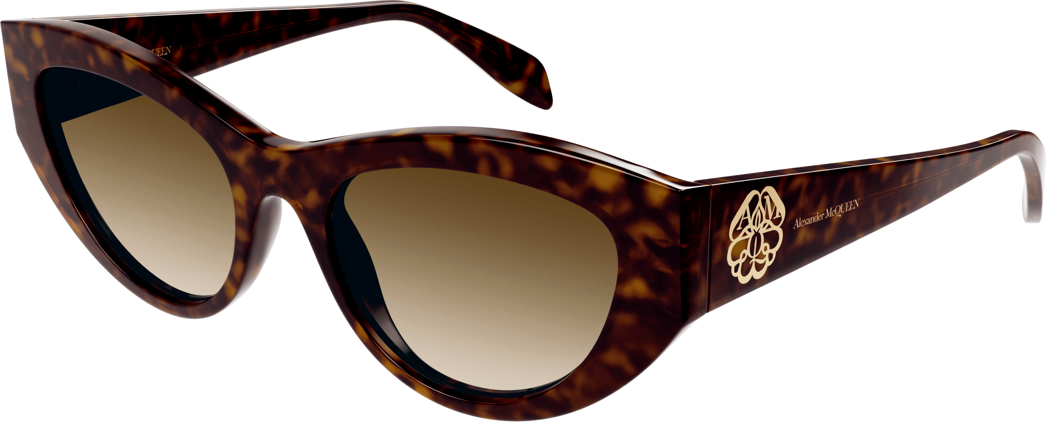 Color_AM0377S-002 - HAVANA - BROWN