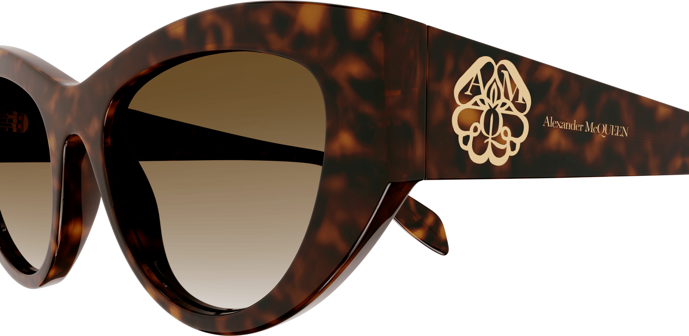 Color_AM0377S-002 - HAVANA - BROWN