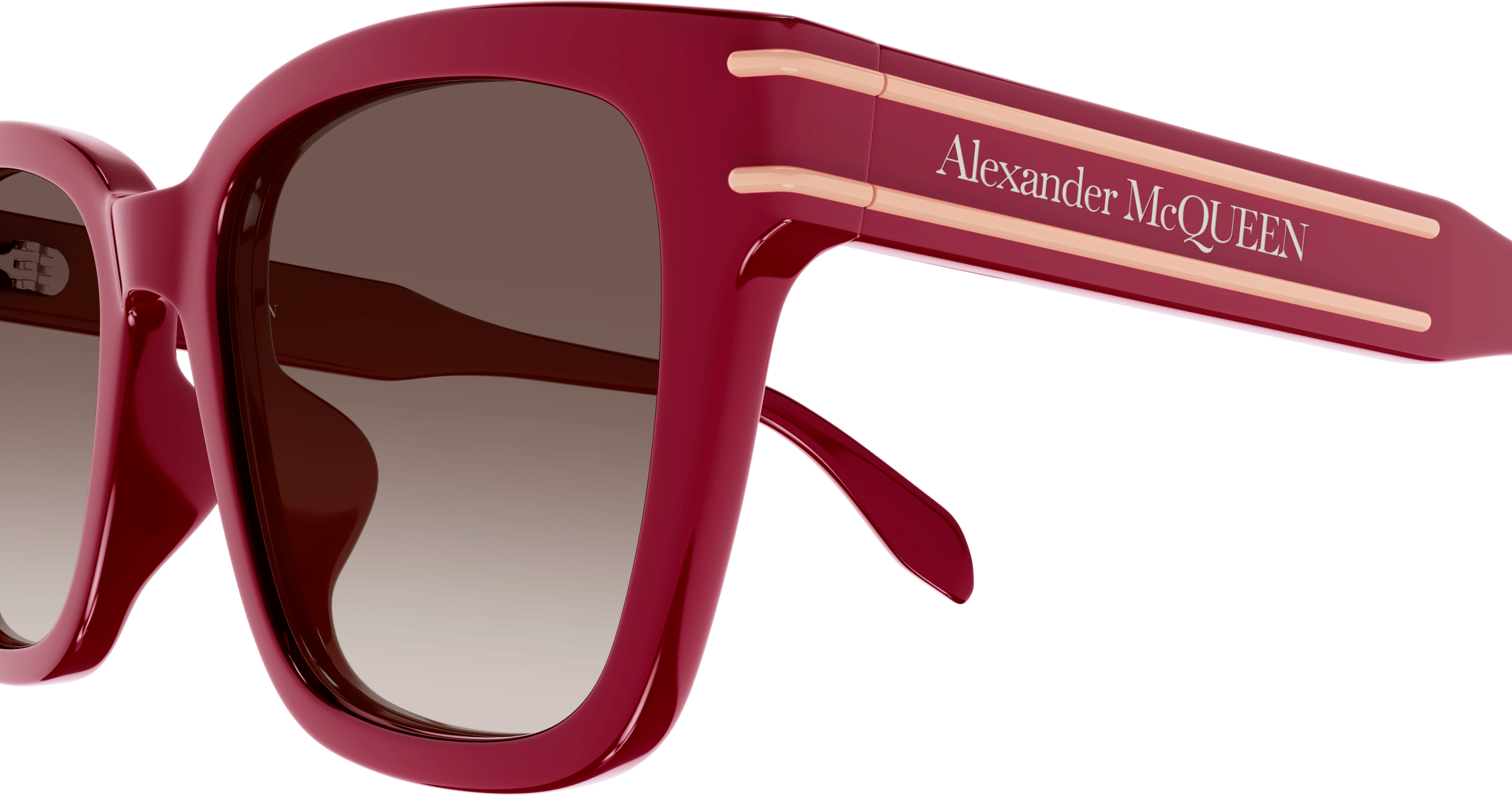 Color_AM0399SA-003 - BURGUNDY - BROWN