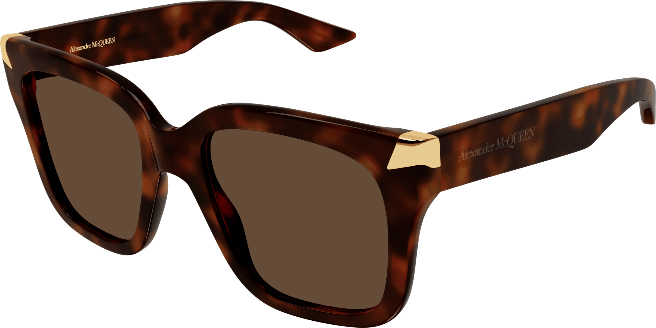 Color_AM0440S-003 - HAVANA - BROWN