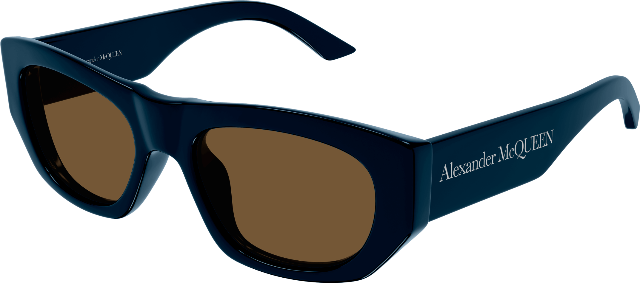 Color_AM0450S-003 - BLUE - BROWN